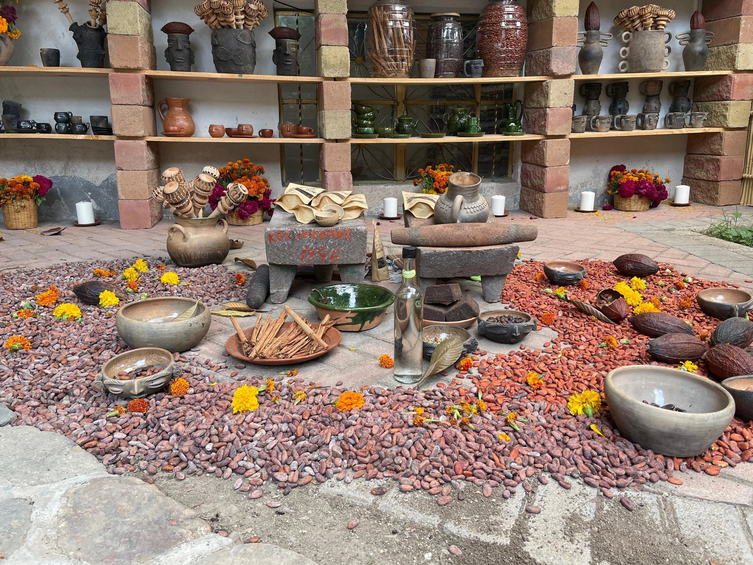 WhatsApp Image 2026-01-22 at 12.08.25 PM (1).jpeg