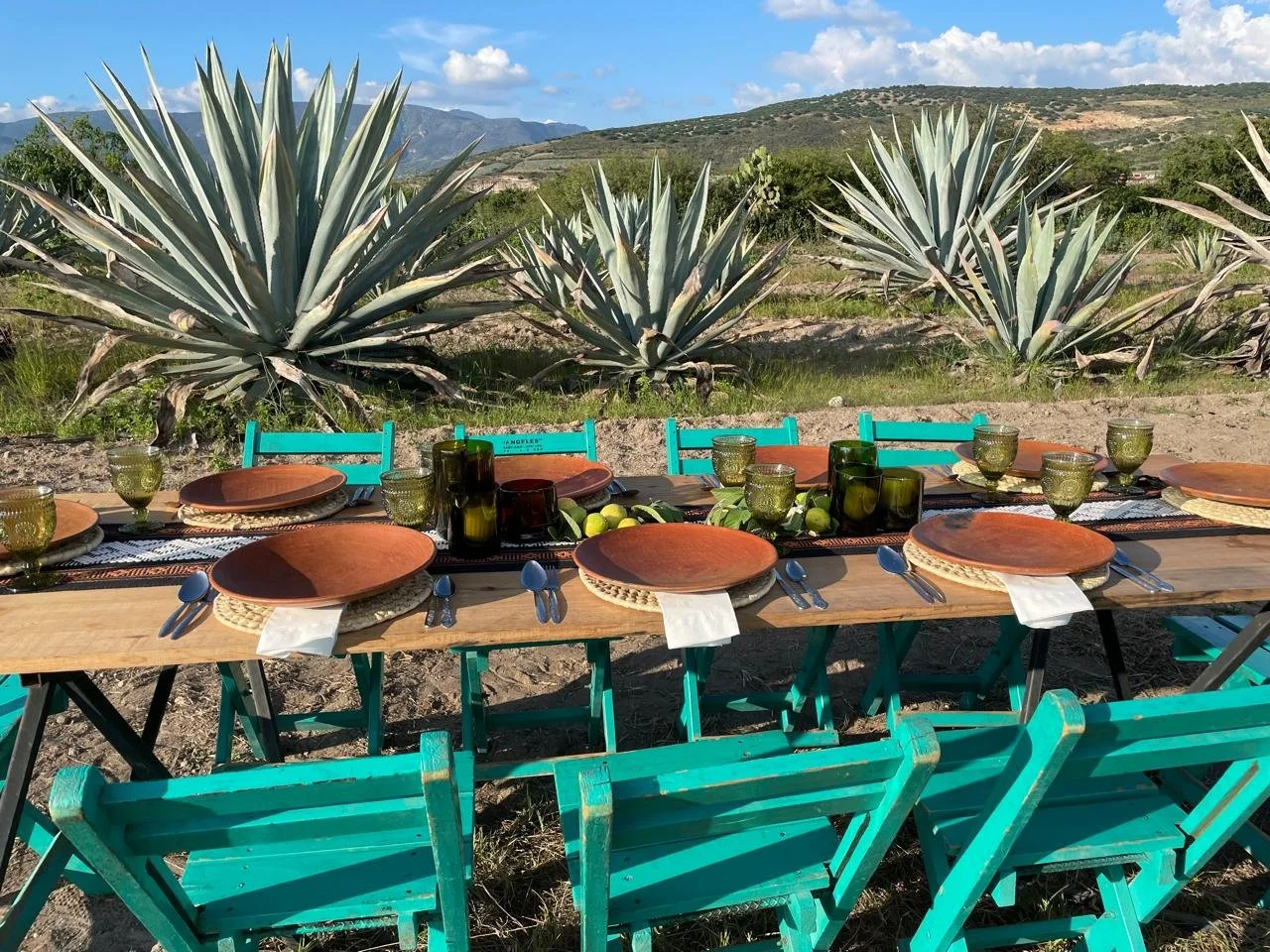 WhatsApp Image 2026-01-22 at 2.21.40 PM (1).jpeg