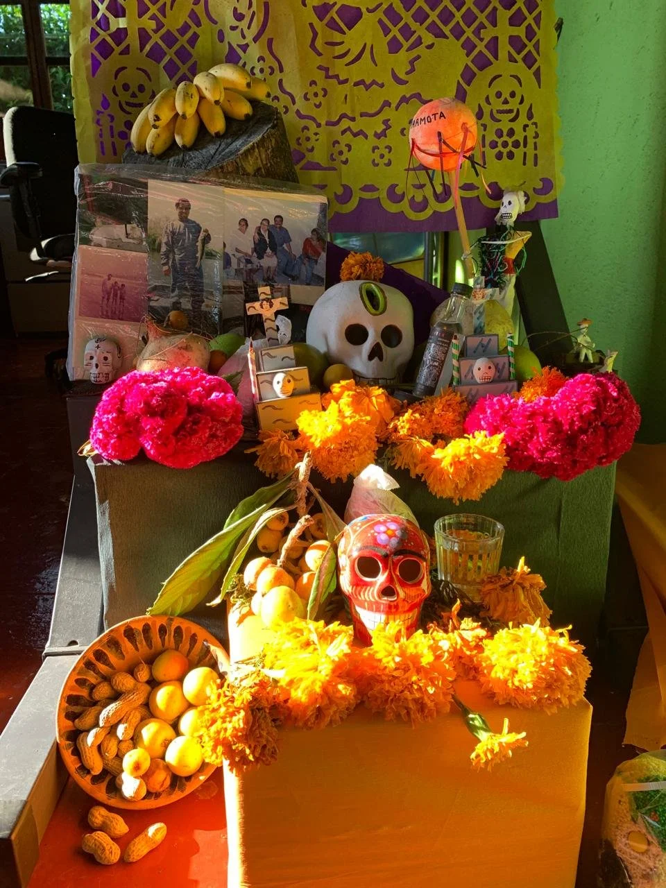 WhatsApp Image 2026-01-22 at 12.06.23 PM (2).jpeg