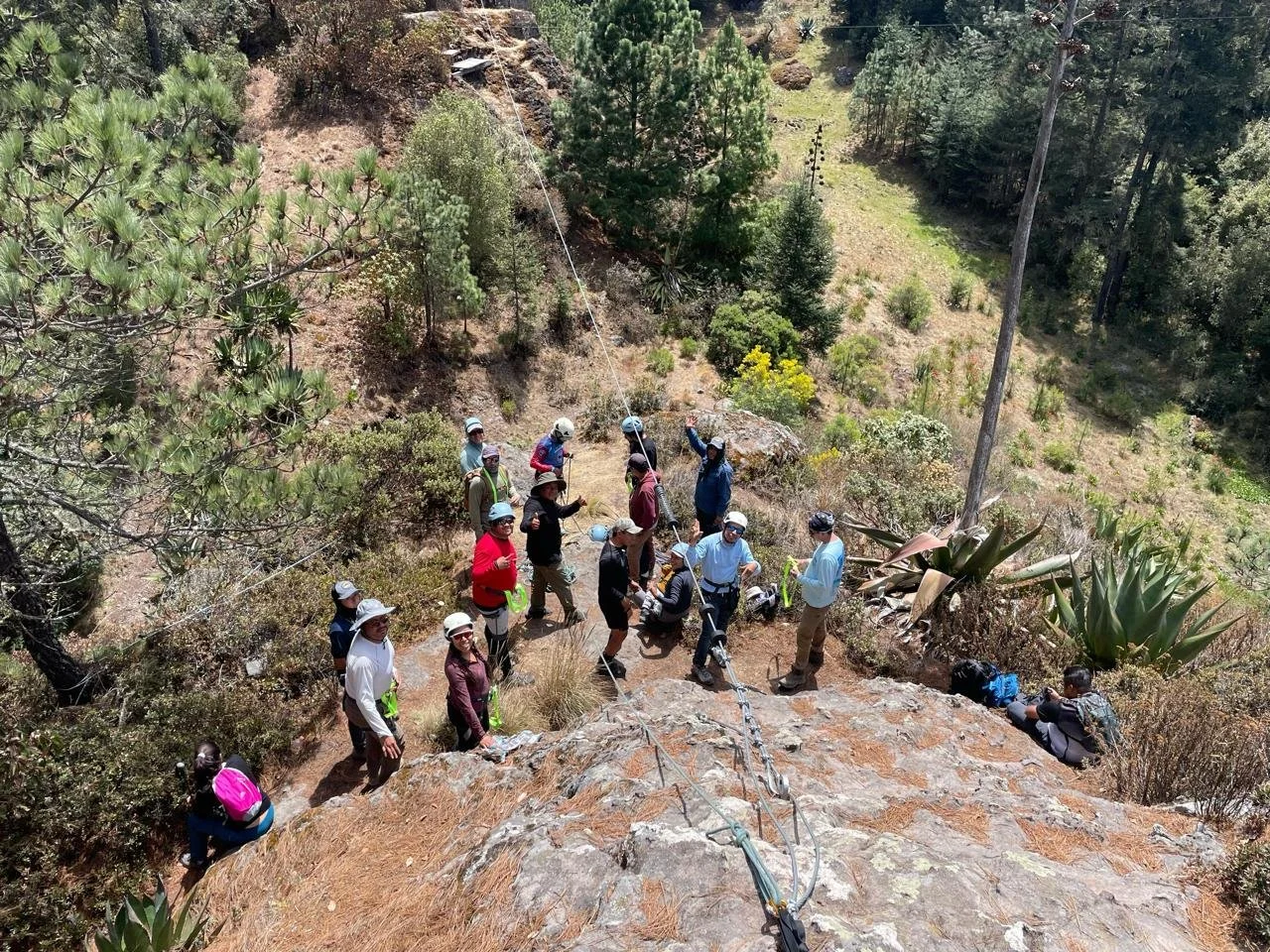 WhatsApp Image 2026-01-19 at 3.38.55 PM (1).jpeg