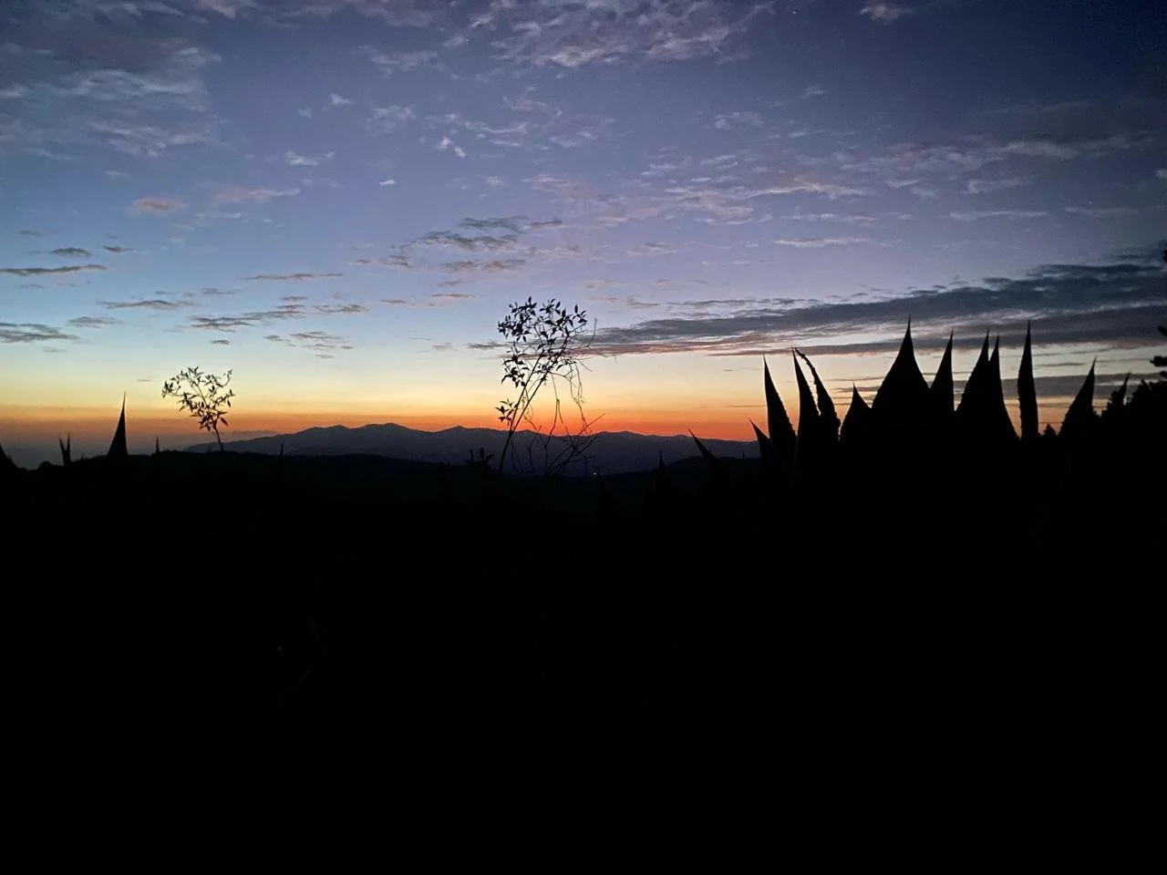 WhatsApp Image 2026-01-19 at 3.38.55 PM (4).jpeg