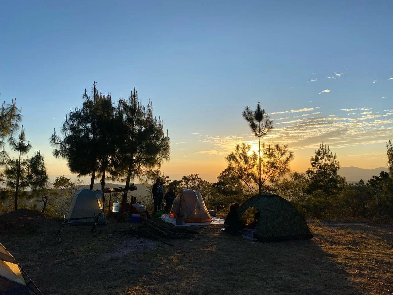 WhatsApp Image 2026-01-19 at 3.38.55 PM (6).jpeg