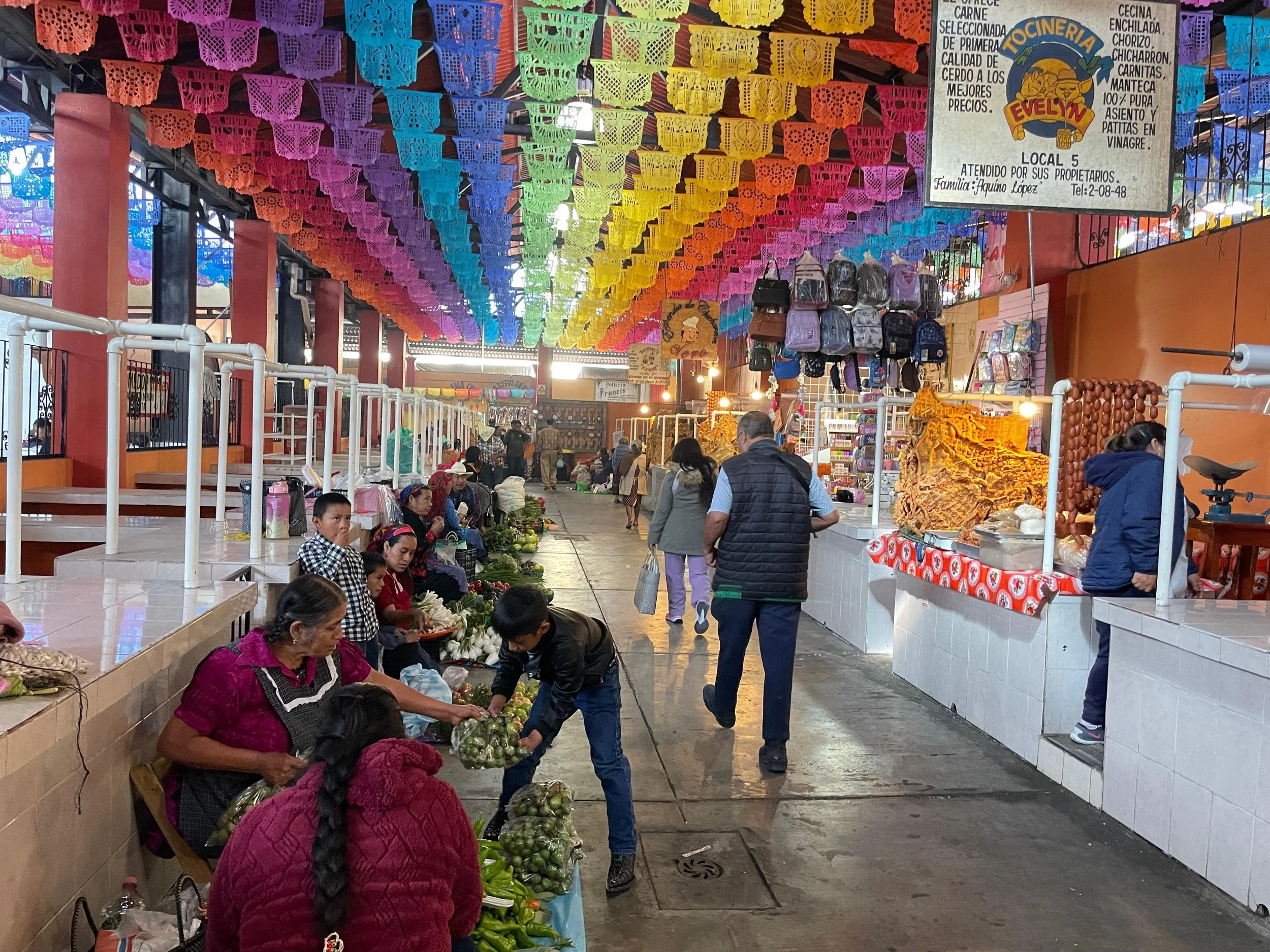 WhatsApp Image 2025-12-16 at 12.00.13 PM.jpeg