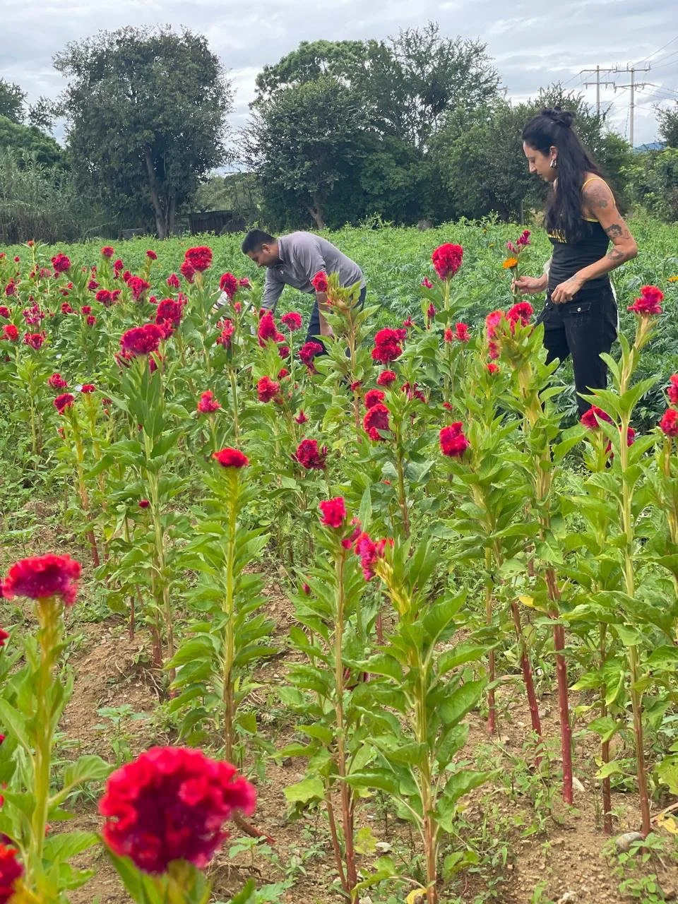 WhatsApp Image 2026-01-22 at 12.06.23 PM.jpeg