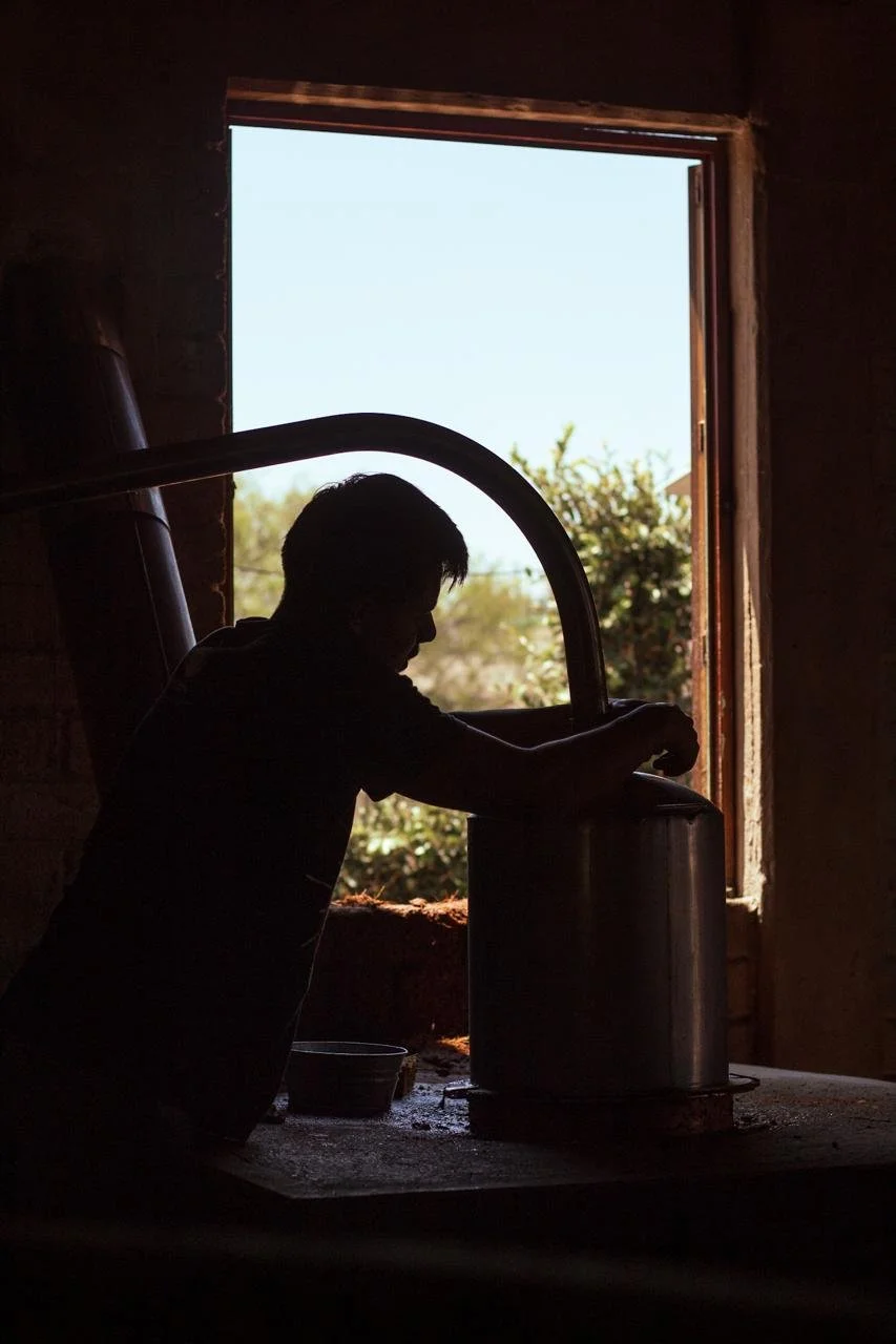 WhatsApp Image 2026-03-23 at 12.34.33 PM.jpeg