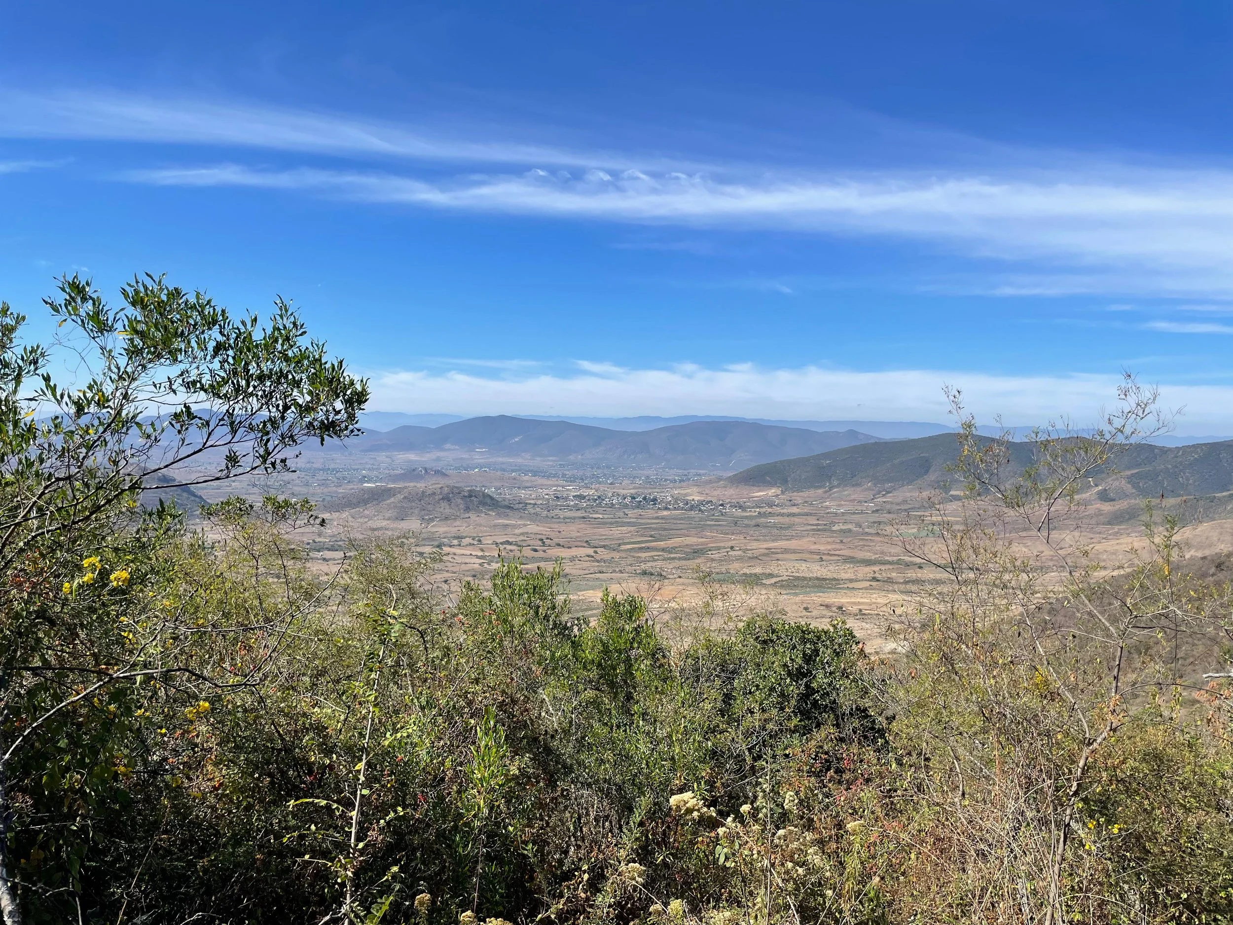 WhatsApp Image 2026-01-18 at 8.09.27 PM (2).jpeg