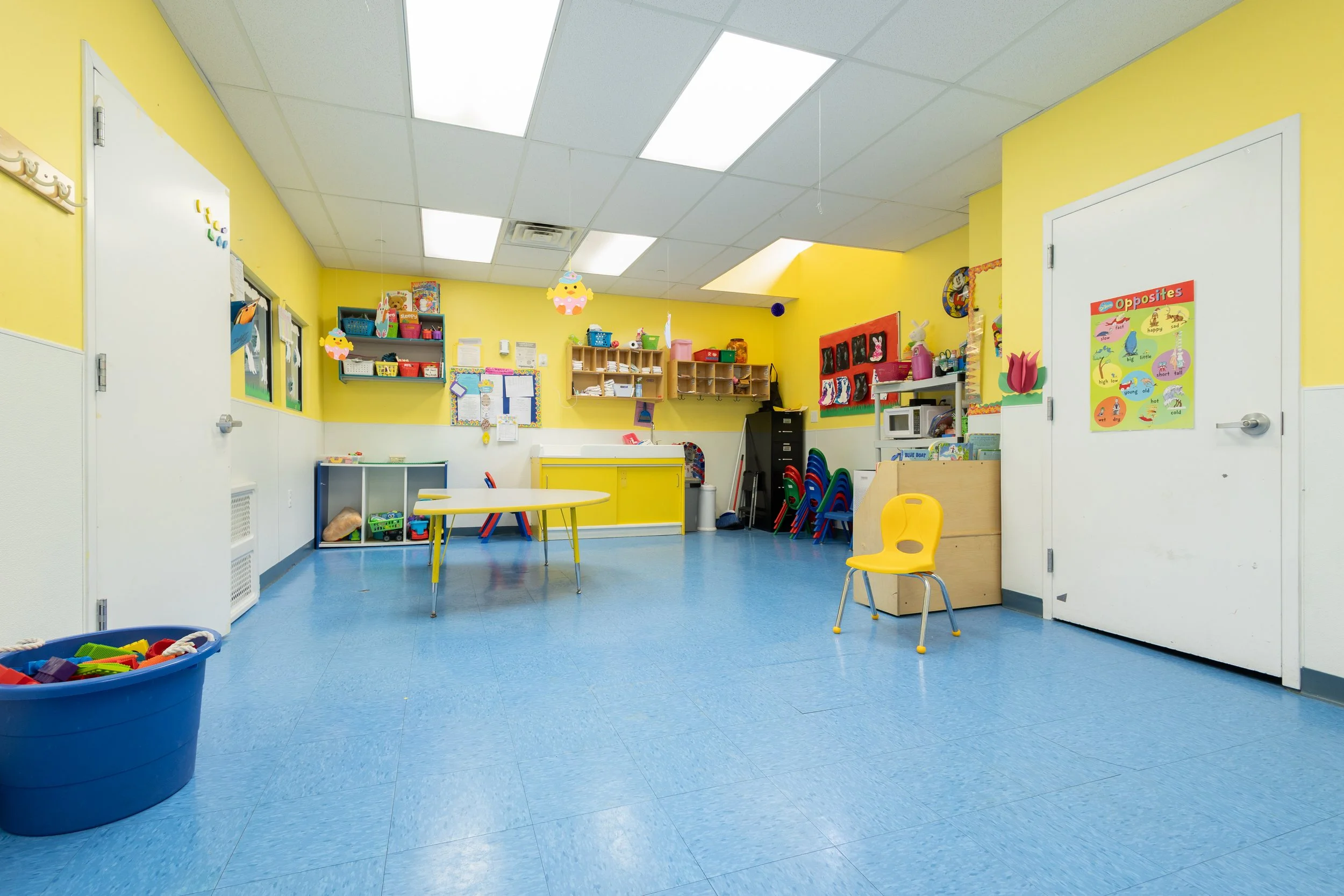 Toddler Plus Program