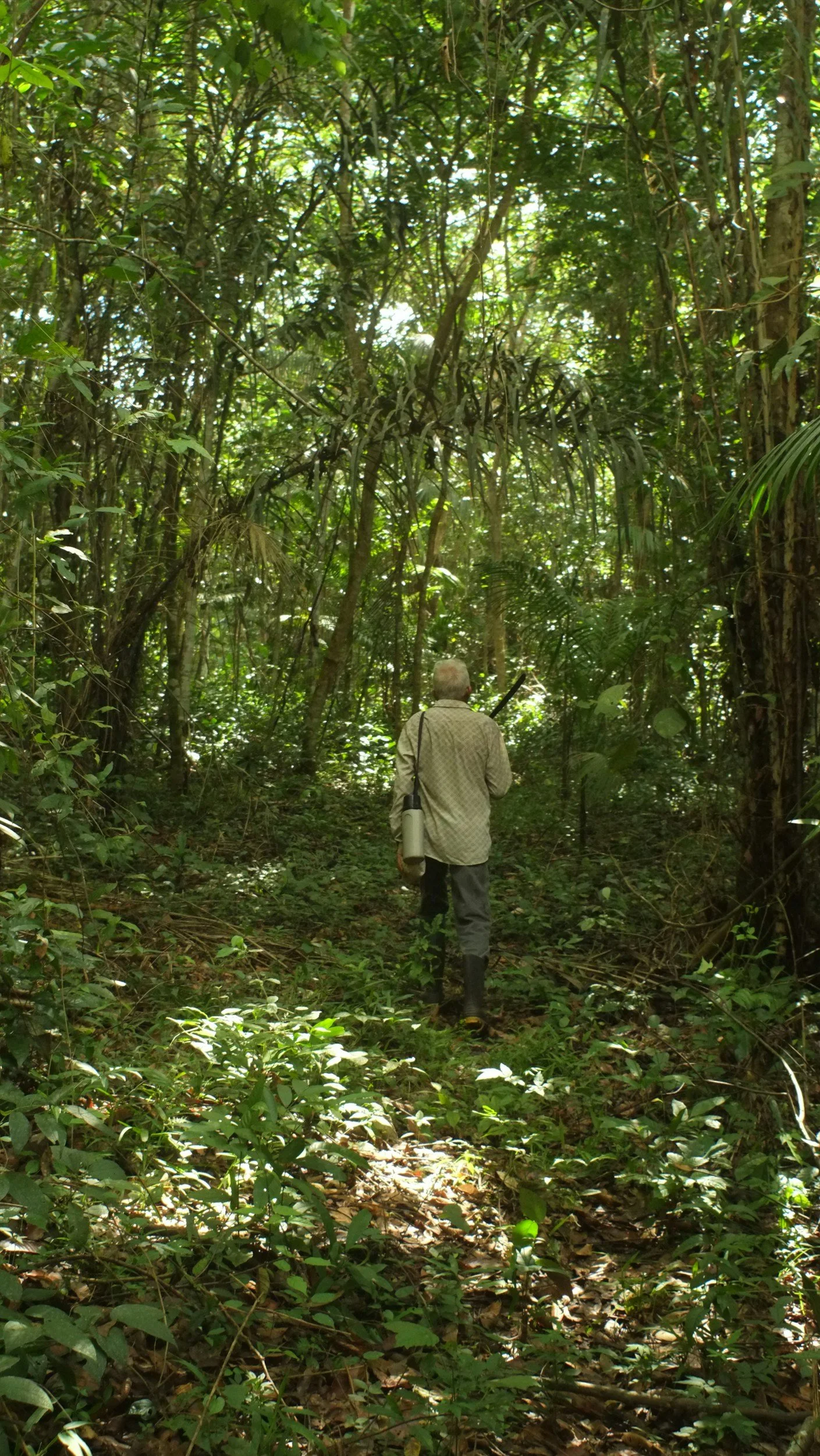 Raising Leaders, Planting Churches: Hope Rising in the Amazon