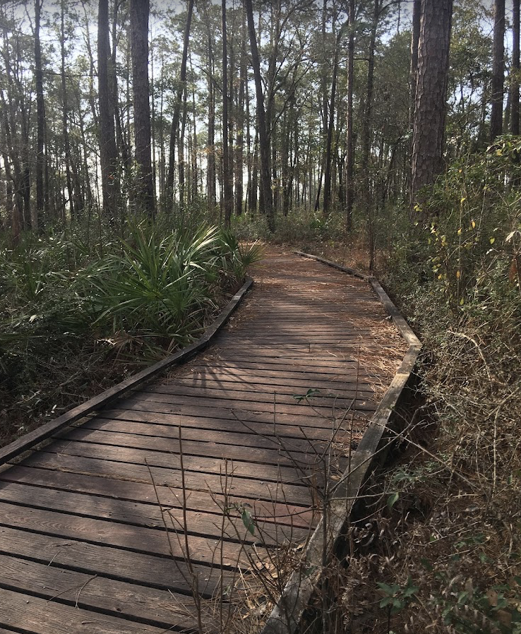 Screenshot 2025-05-07 at 1.28.17 PM.png