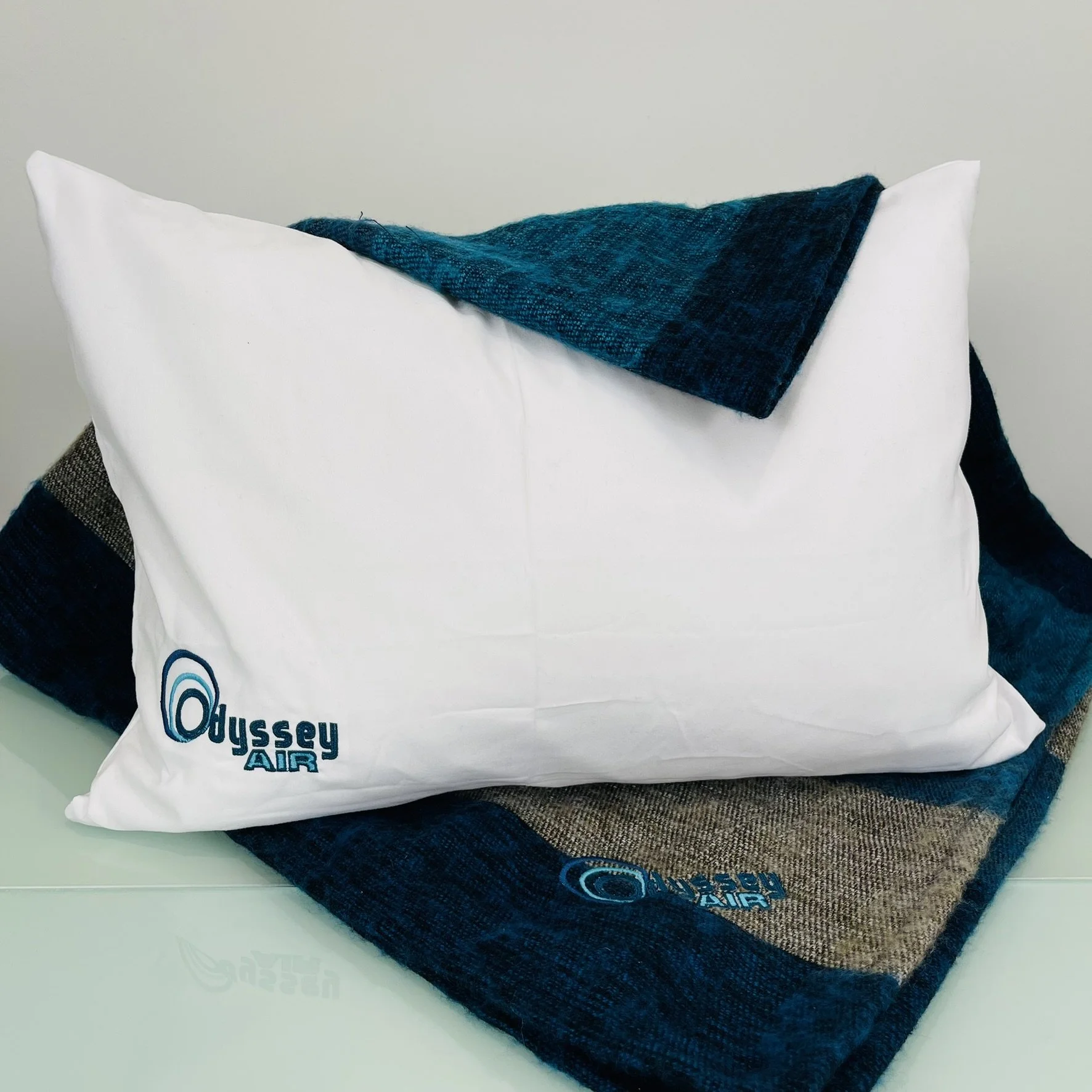 AV7 Pillow and Throw Blanket.JPEG