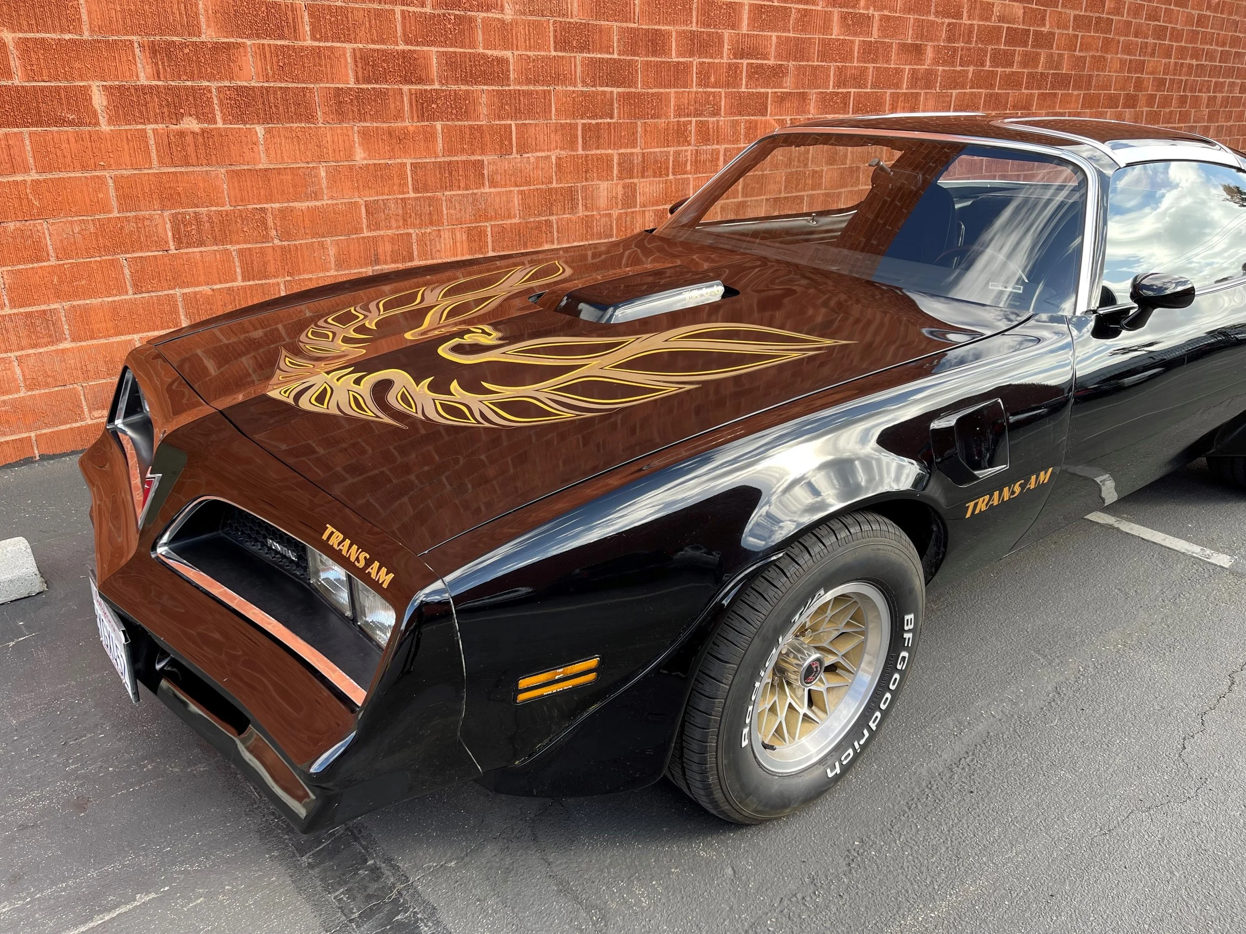 Pontiac Trans Am Firebird 2.JPG
