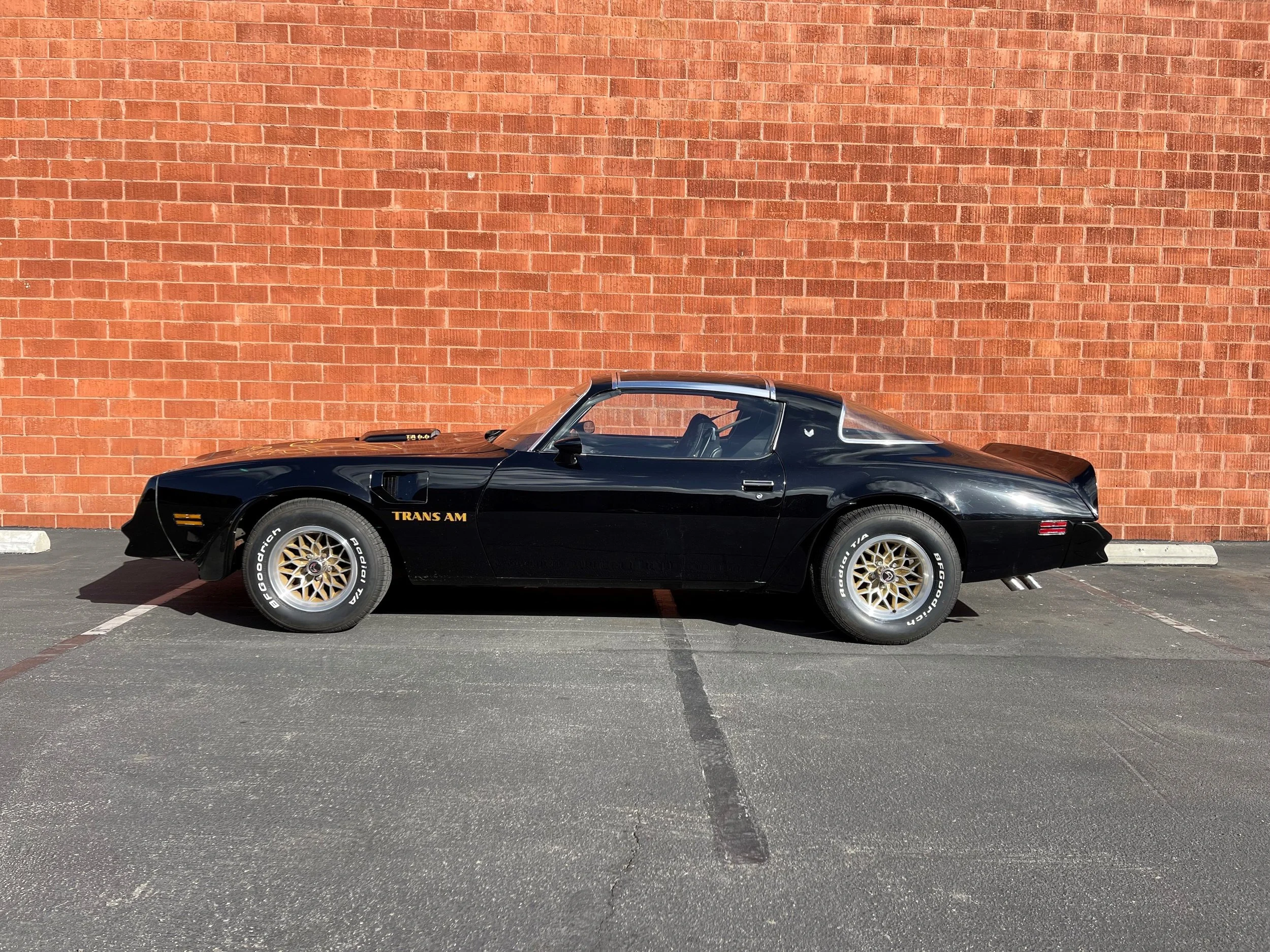 Pontiac Trans Am Firebird 3.JPG