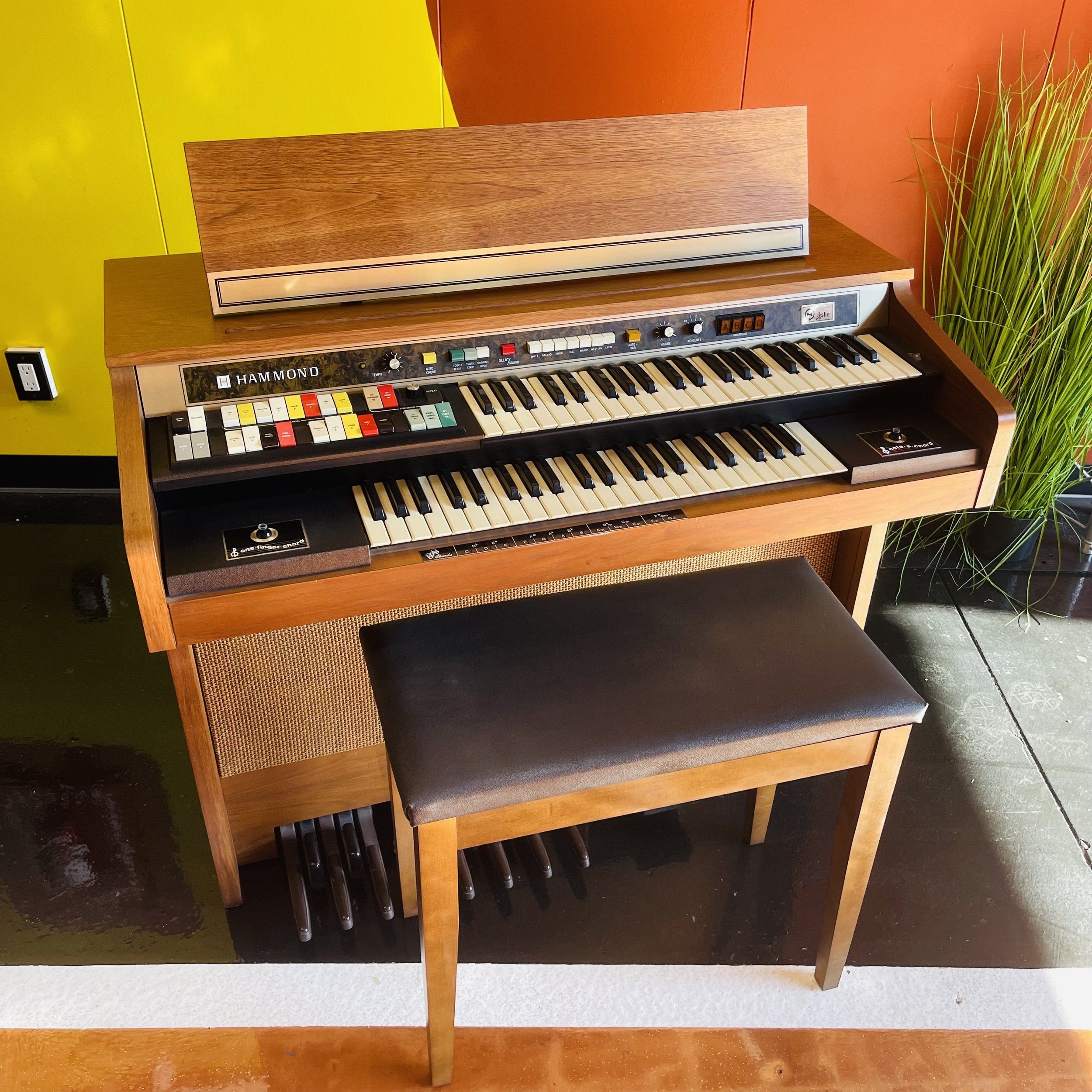 DC66 Hammond Organ.jpg