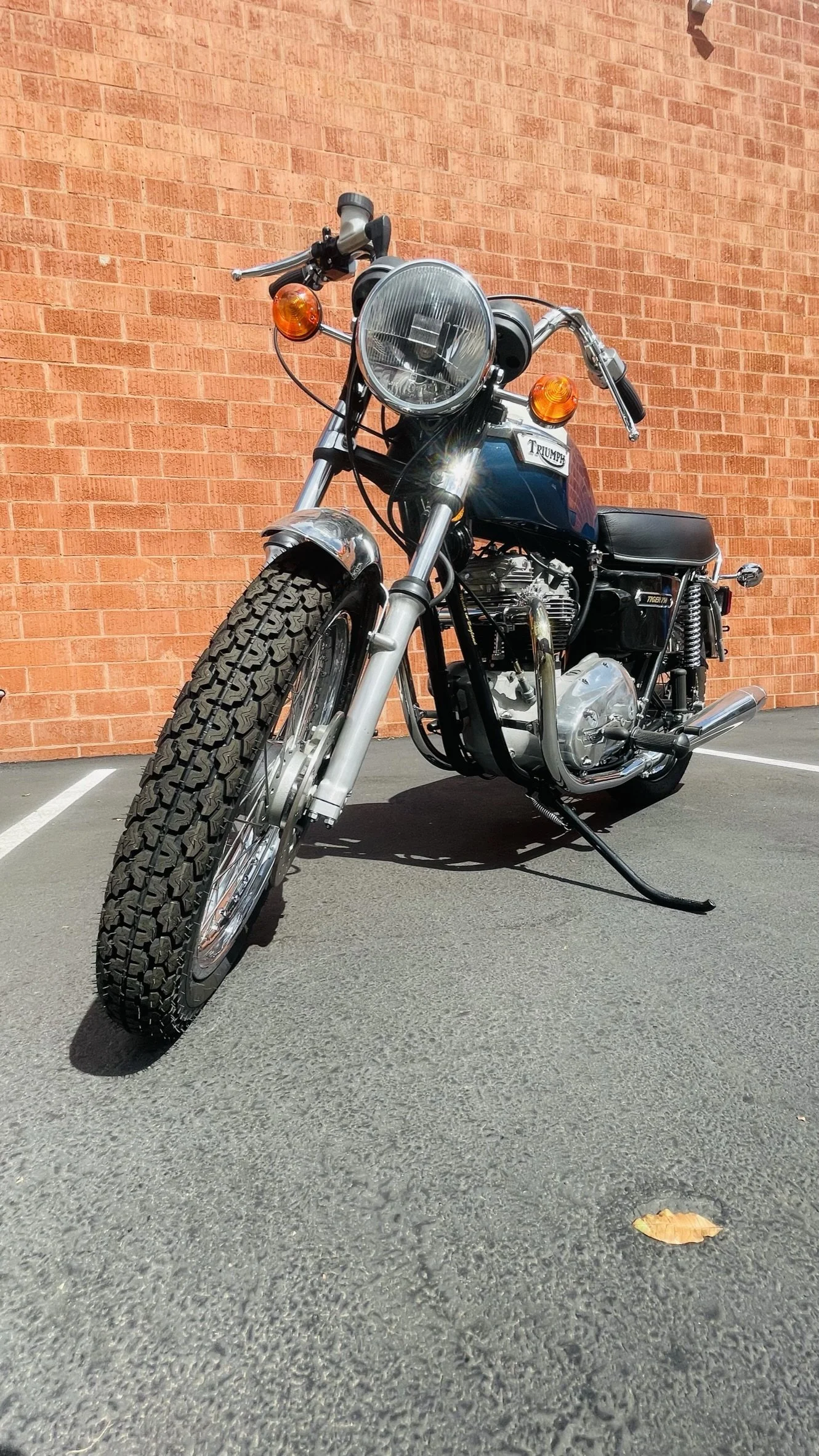 77-Triumph-Tiger-24_M10.JPEG