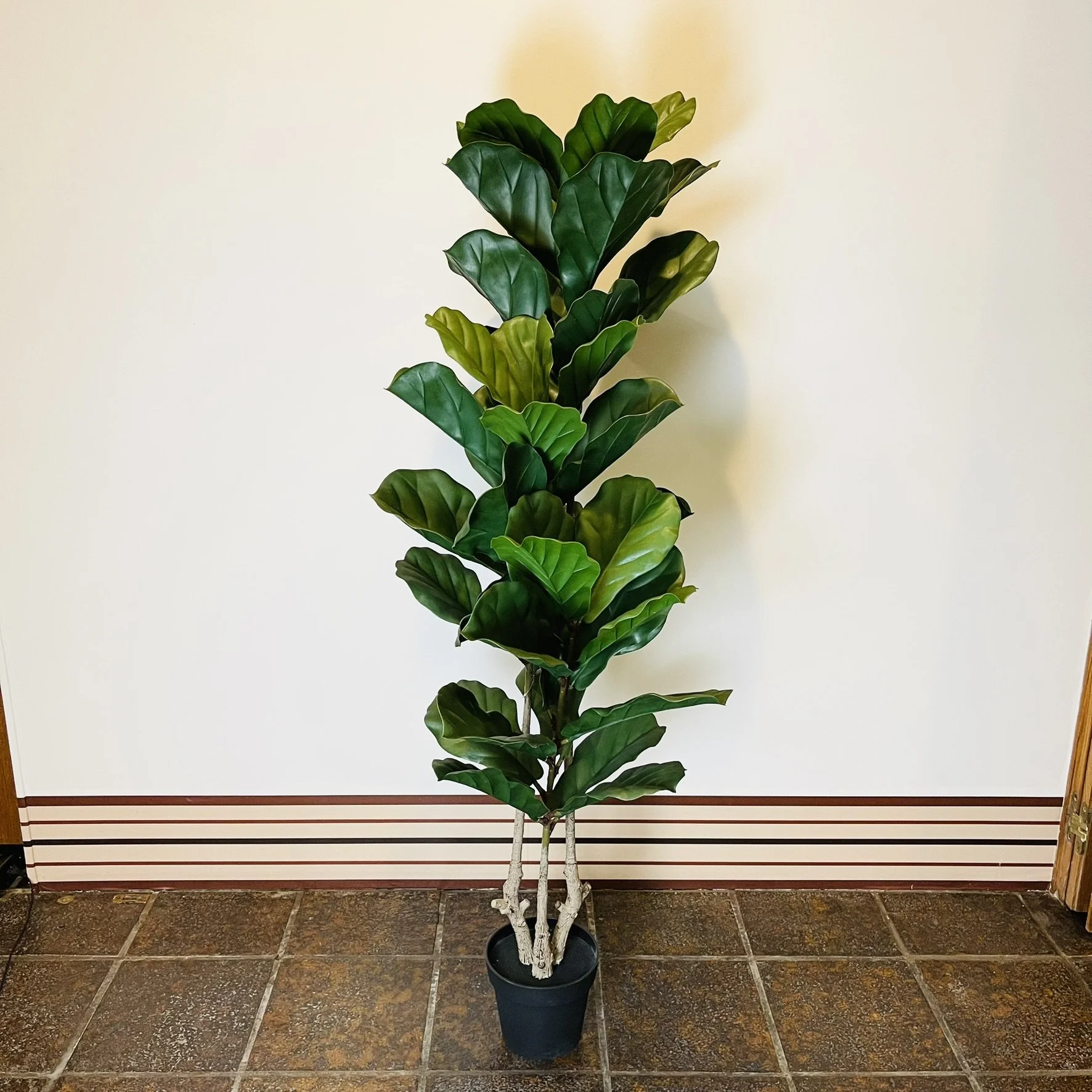 G6 Faux Fiddle Leaf.JPEG