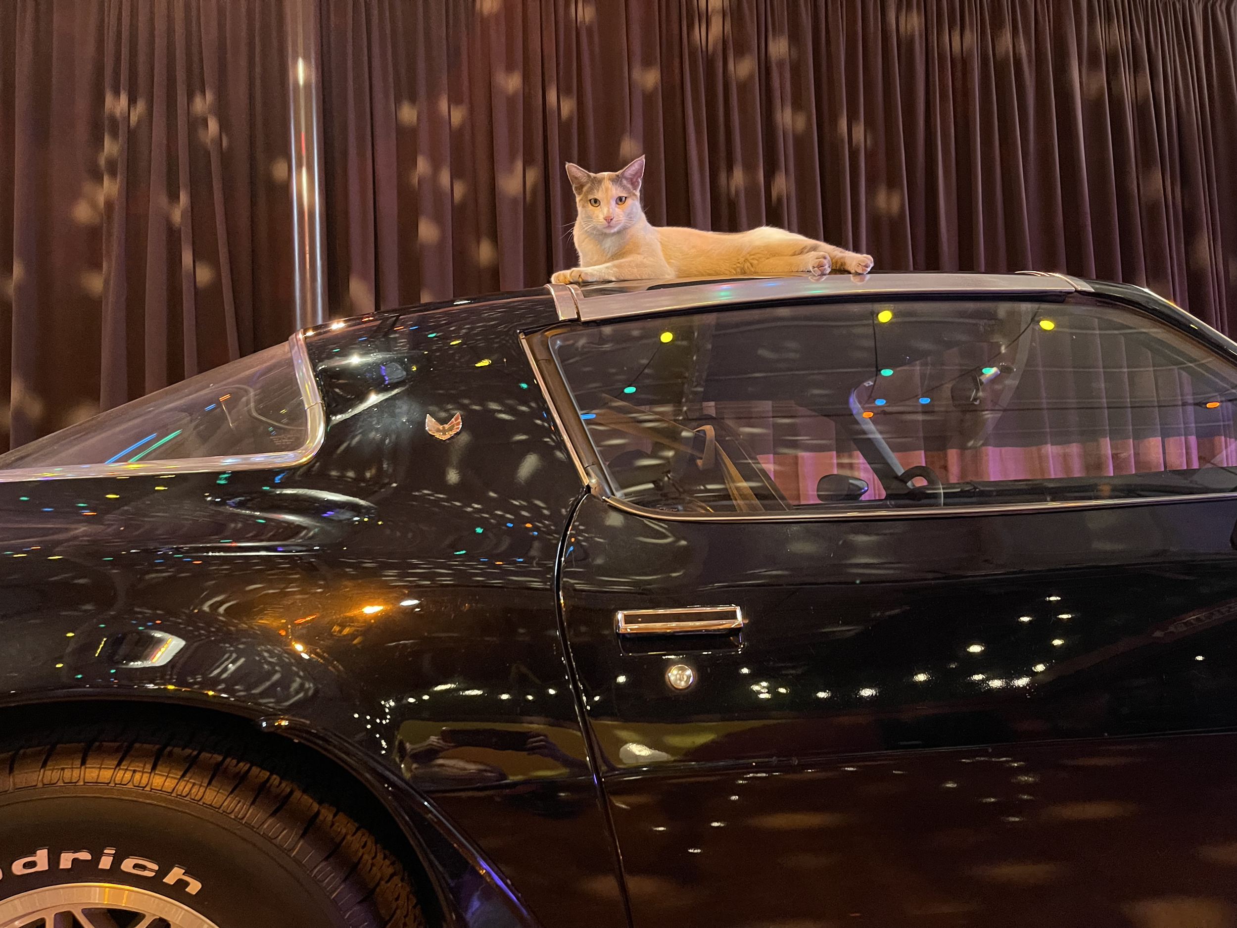 Pontiac Trans Am Firebird with Astro .png