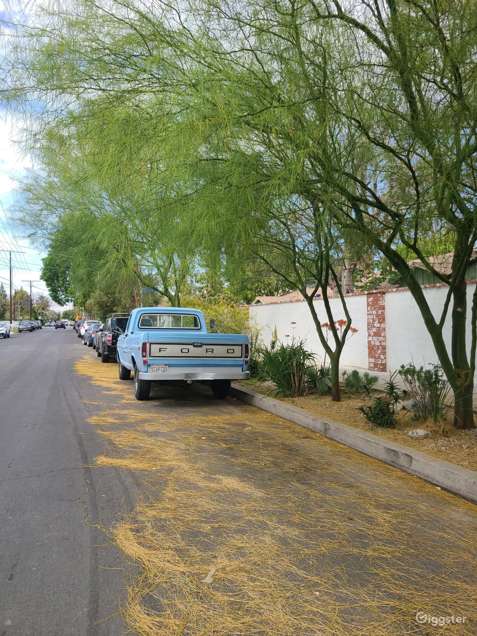 1971-ford-f-250-big-boy-in-san-fernando-valley-03.jpg