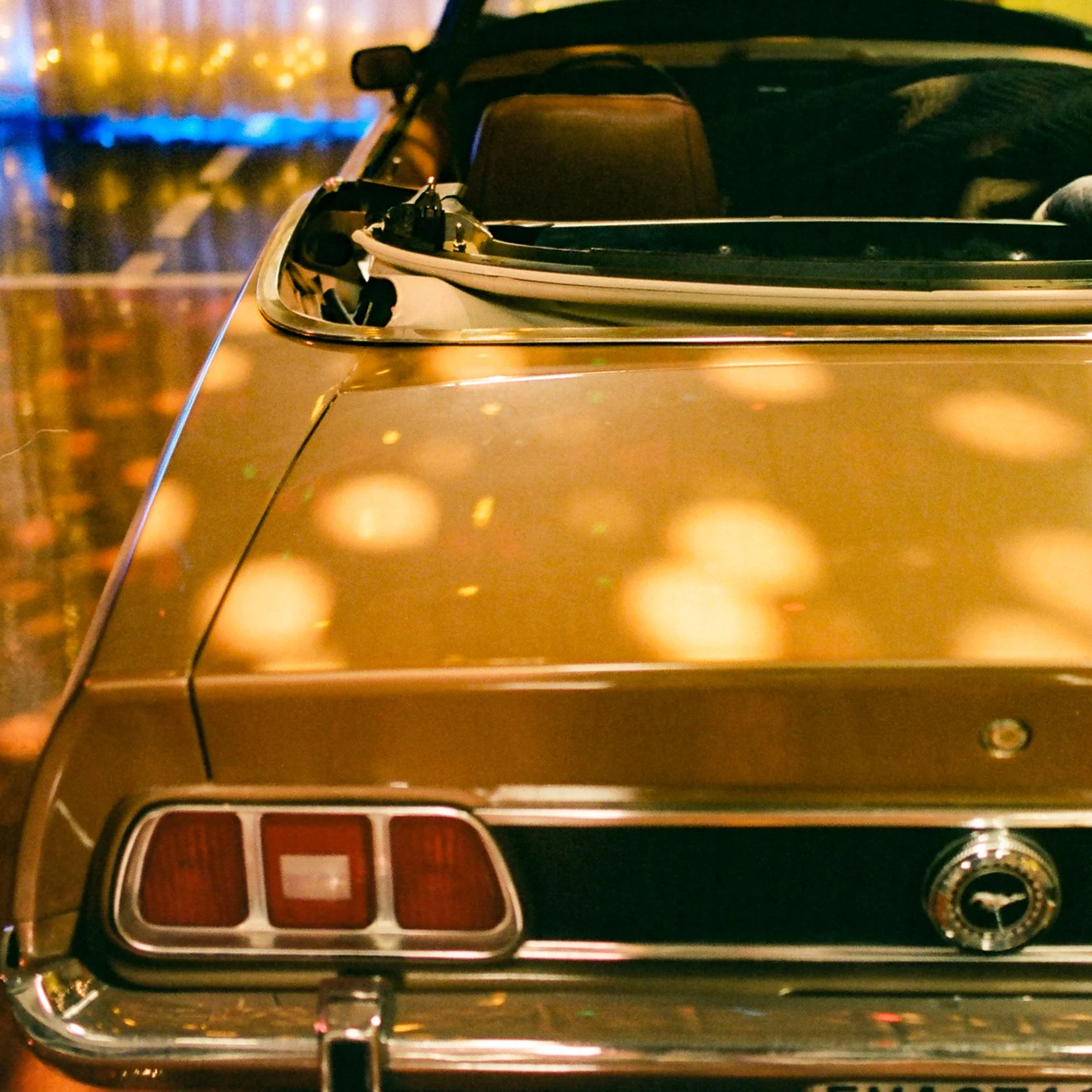 Mustang.jpg