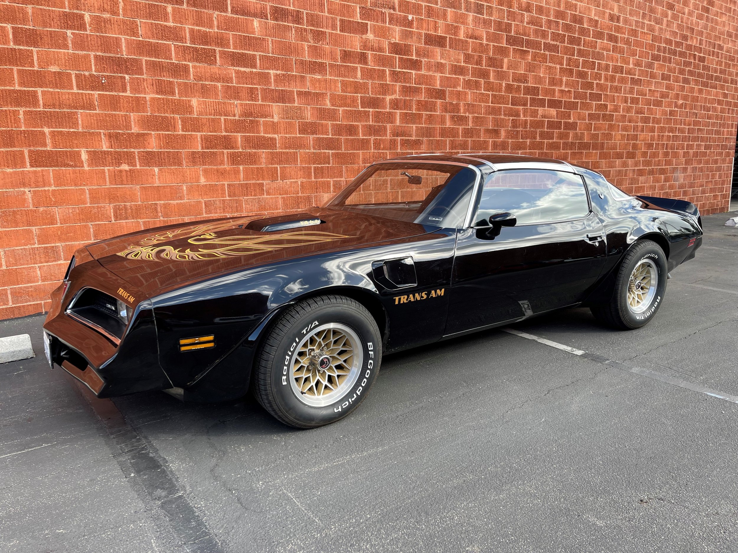 1977 TRANS AM FIREBIRD