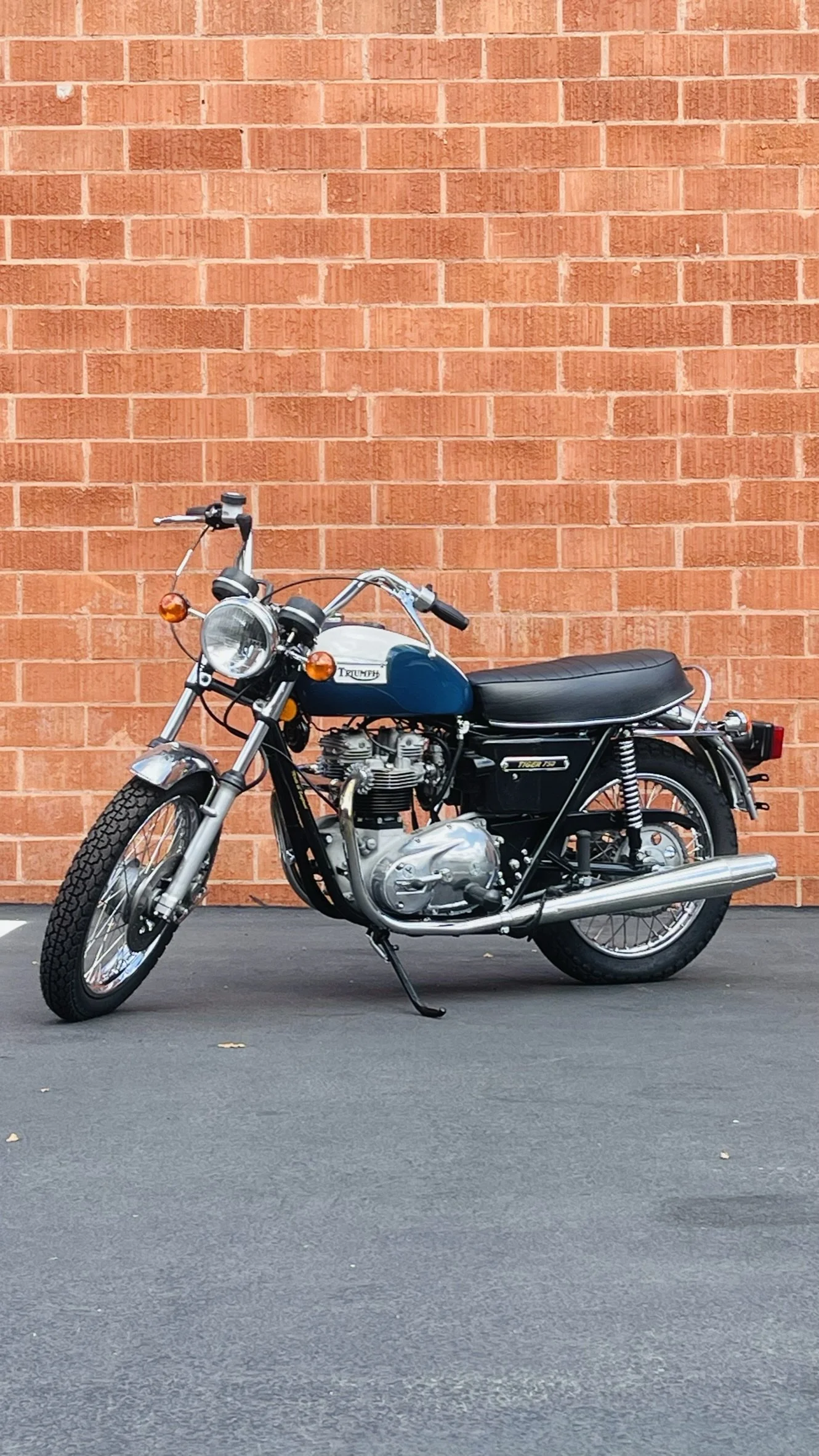 77-Triumph-Tiger-24_M5.JPEG