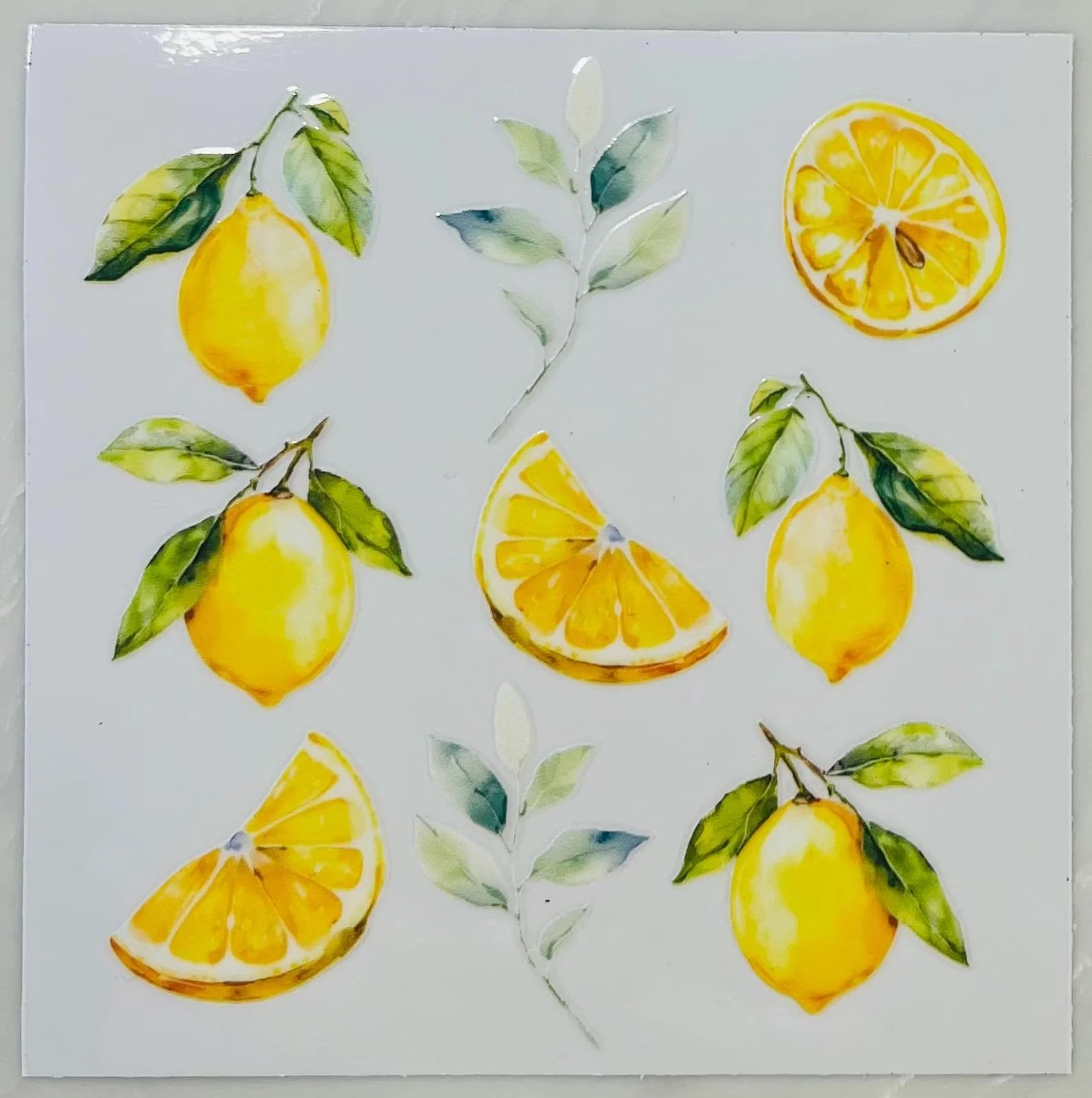 Lemons sheet.jpeg