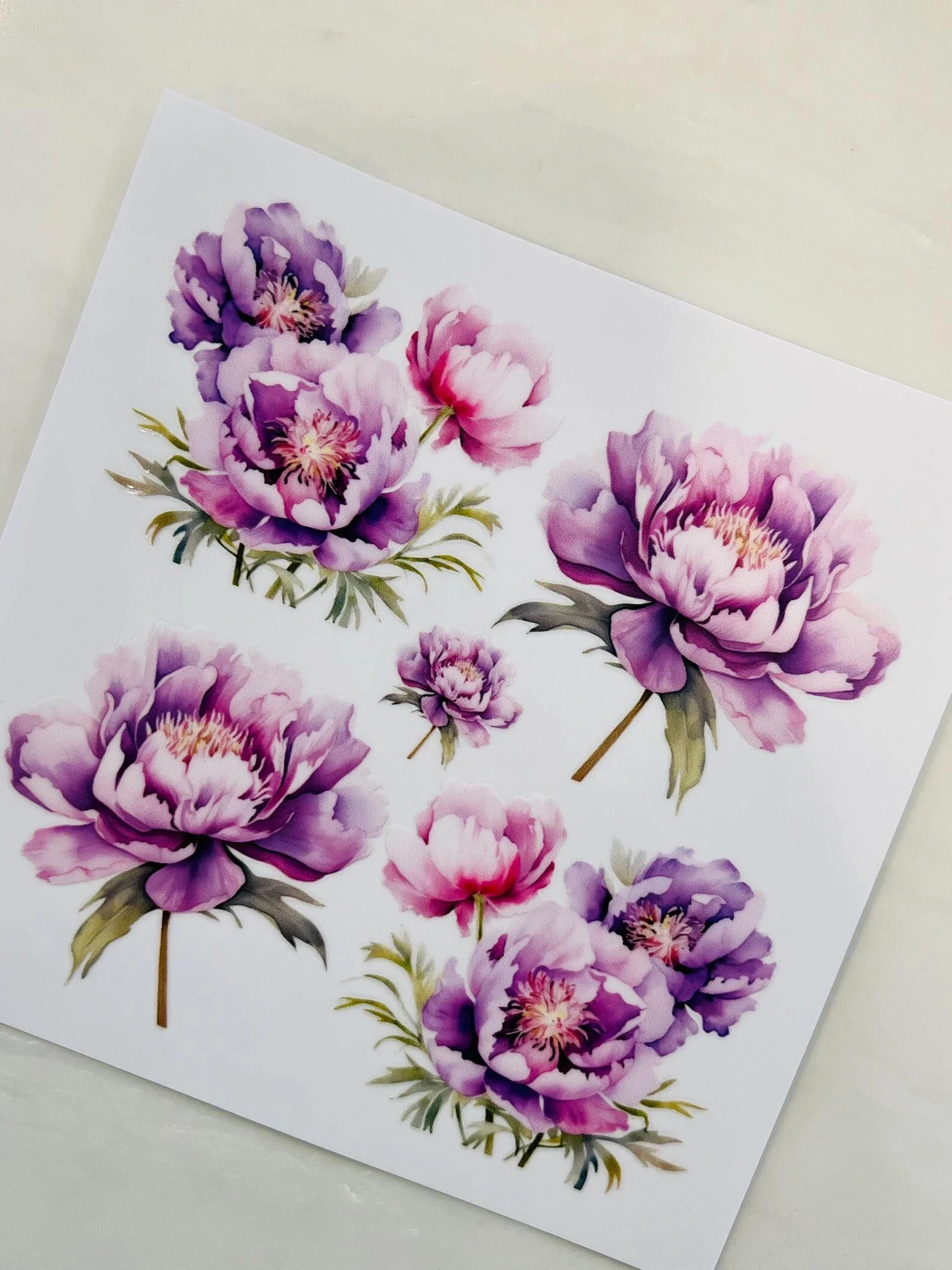 Purple Blooms sheet.jpg