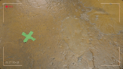 The Dear Everybody Agreement | Holland Bloorview