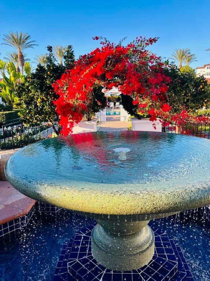I remember many perfect afternoons at the Omni La Costa Resort, the kind of days that feel like they exist outside of time, somewhere between warm sun and golden laughter.
One day, my family and I had claimed our lounge chairs, with our sparkling wa