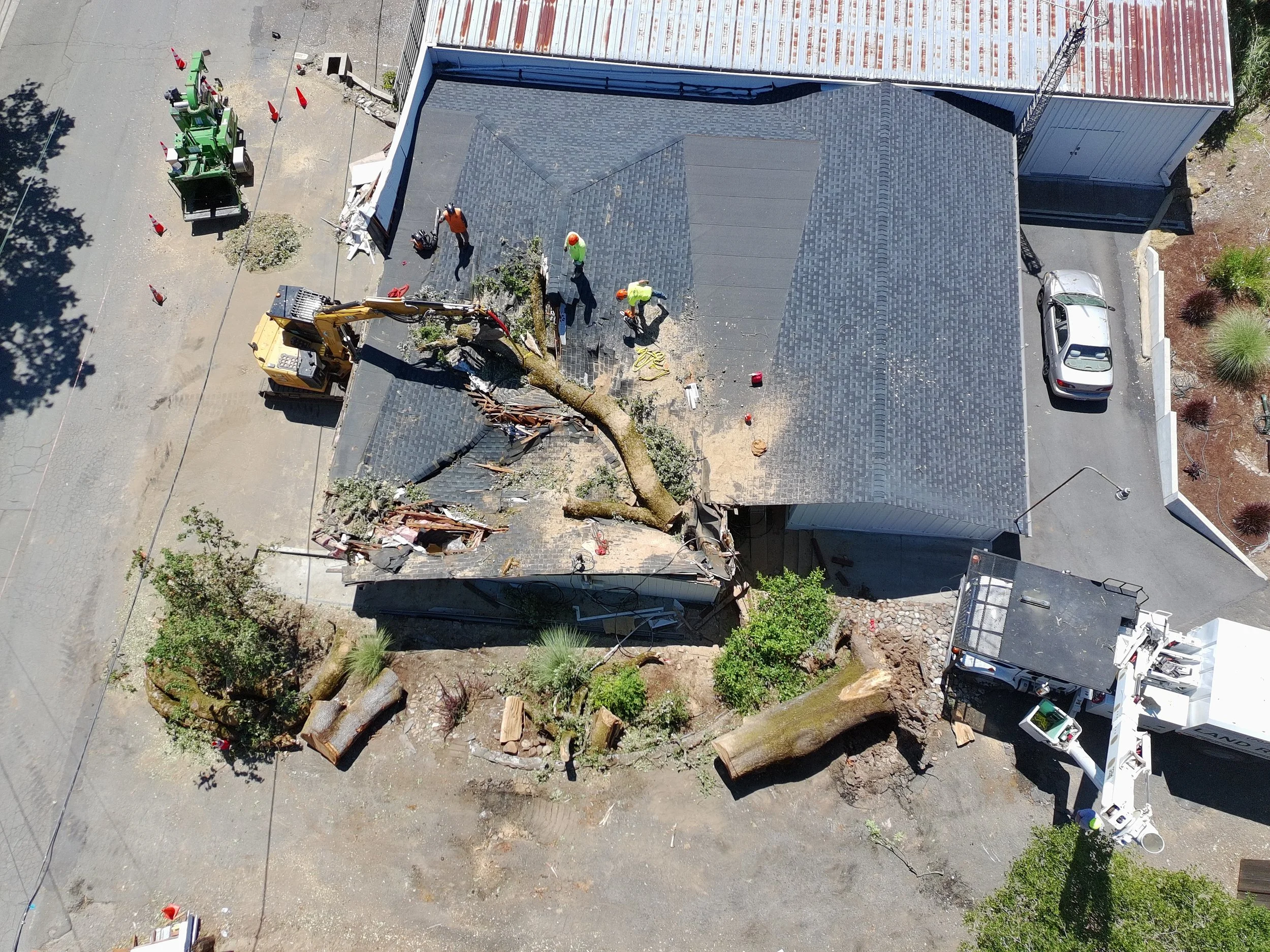Excavator handling a large cut log in a construction or logging area with a dirt ground and rural background.