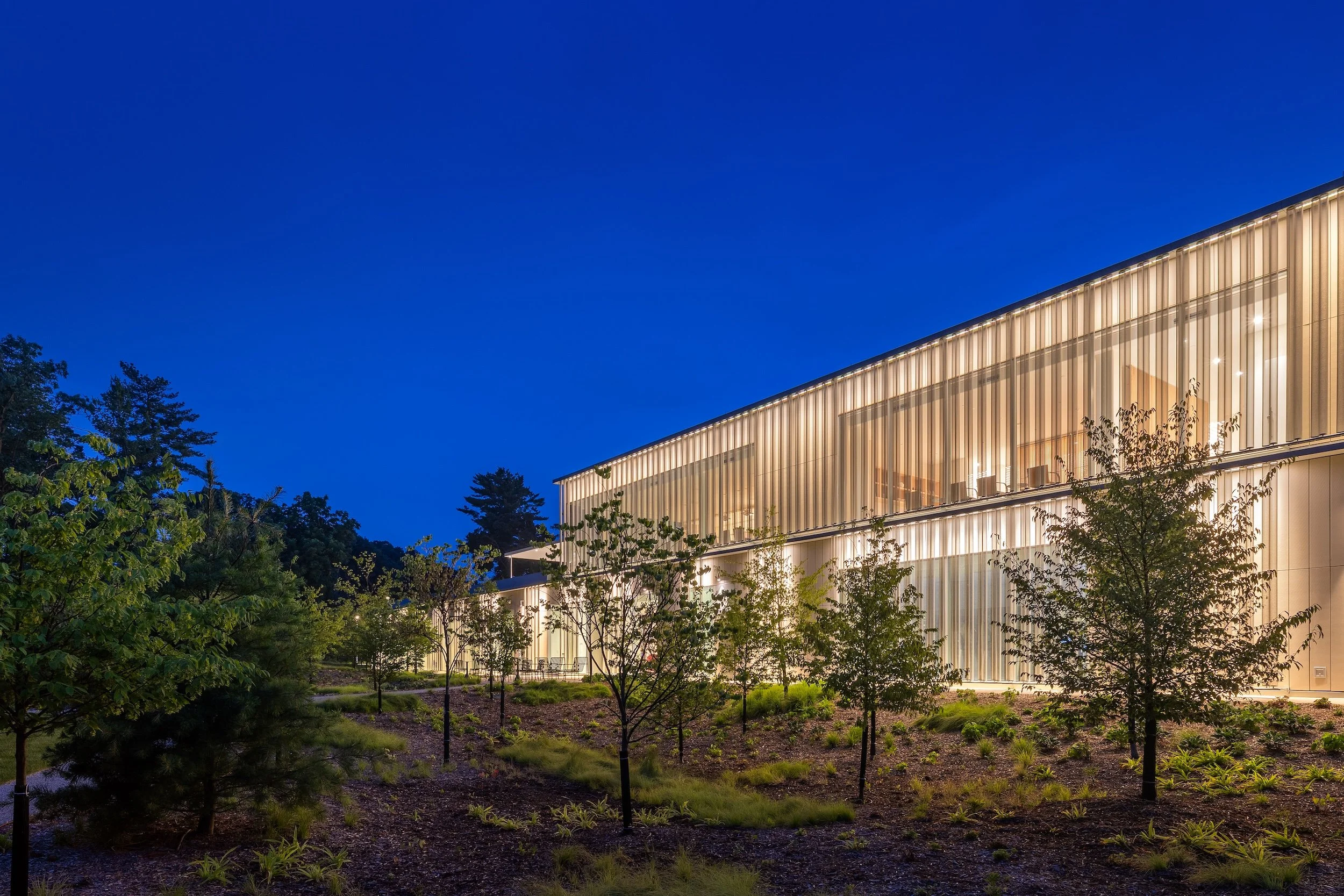 dusk view of glowing building on right with native landscaping on the left