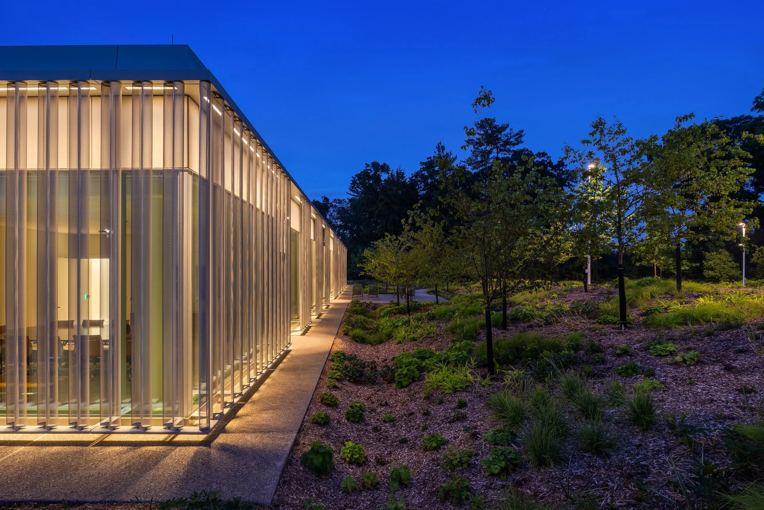 dusk view of corner of the lit building on left with native landscaping on the right