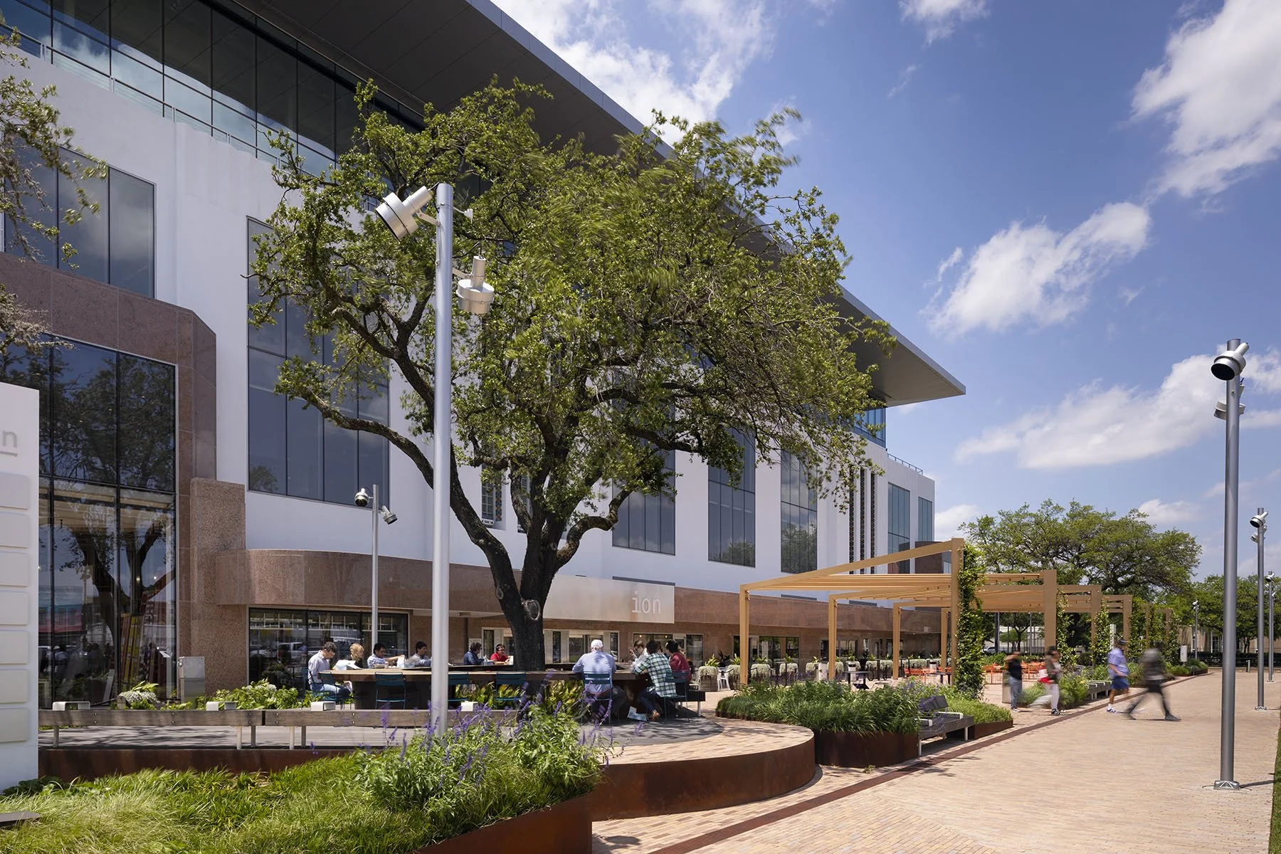 park on the shaded side of the building designed around preserving 3 live oak trees  ©James Ewing