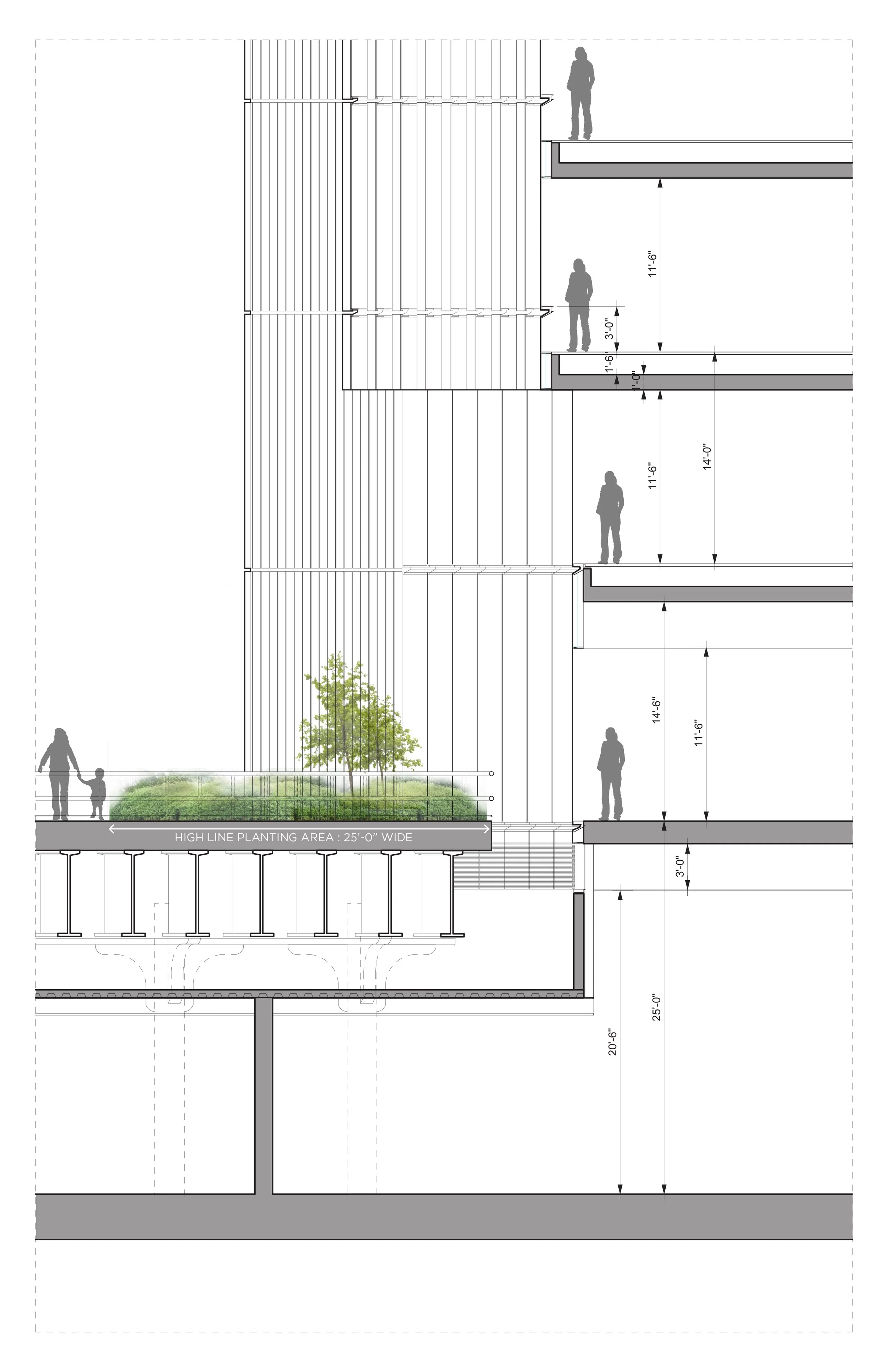 Vertical section from the highline and through the building showing relationship of floors to highline walking surface