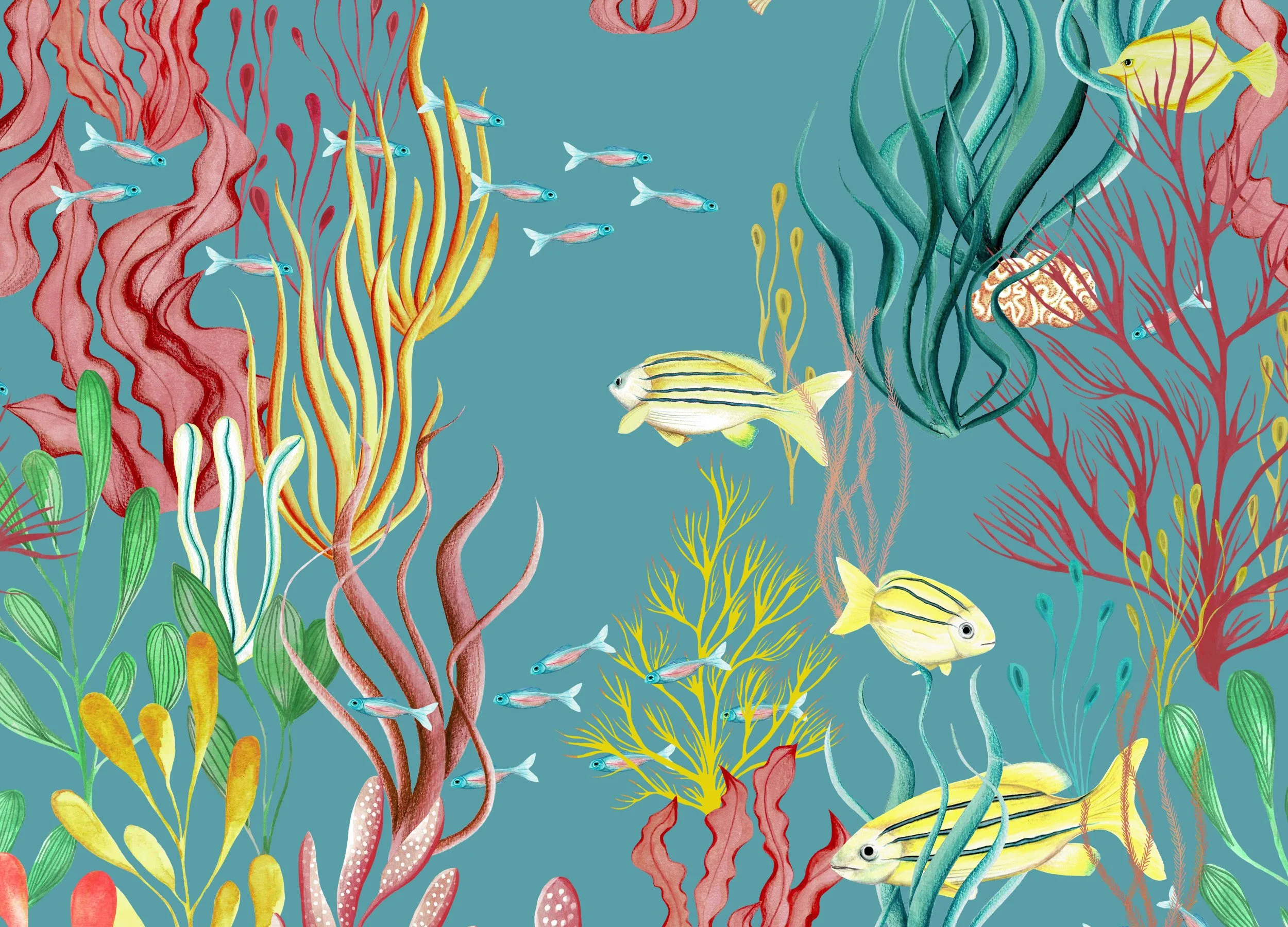 Hand-painted underwater wallpaper pattern on teal background featuring yellow striped fish, small blue tetras, coral, seaweed, and sea anemones in coral pink, mustard yellow, and green tones.