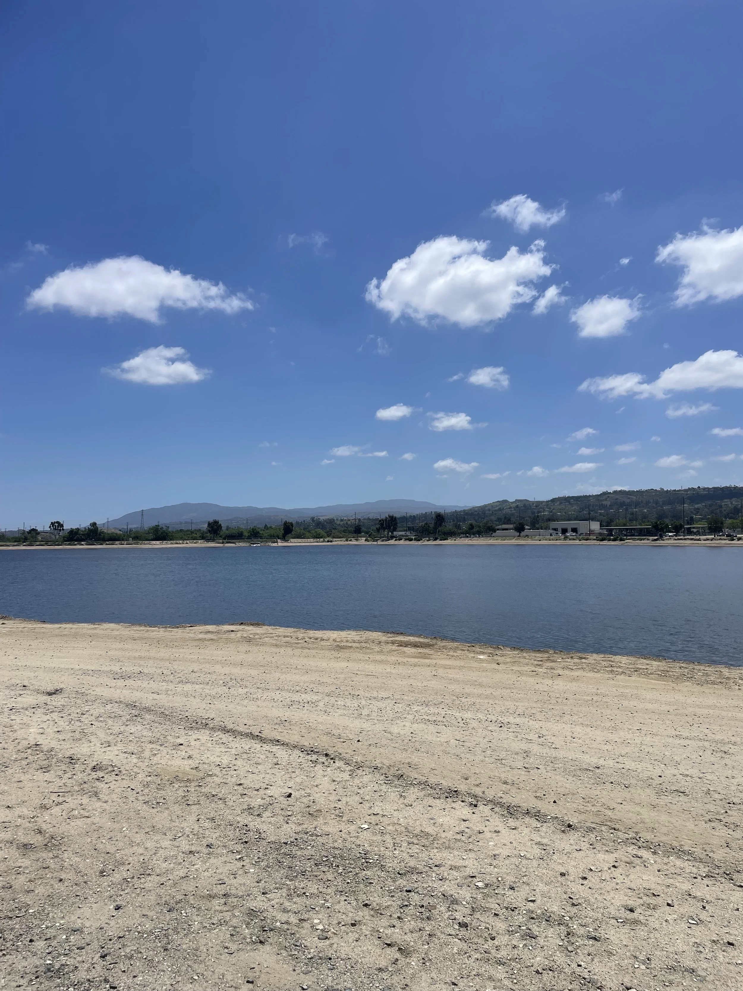 A landscape scene with a body of water, sandy shore in the foreground, and a clear blue sky with a few white clouds. Hills are visible in the distance.