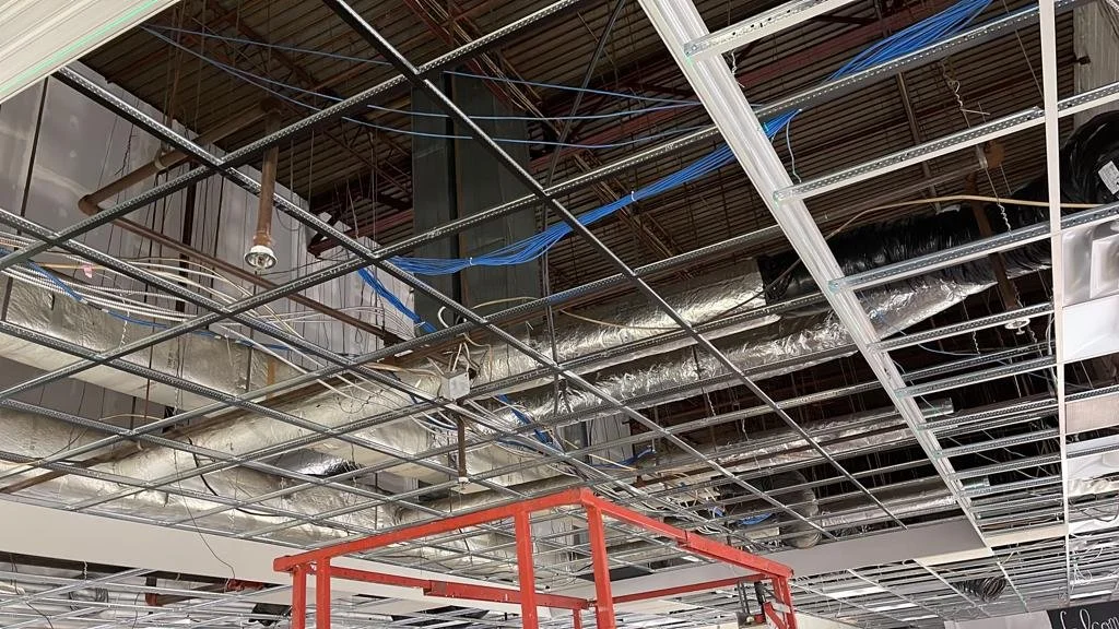 PHOTO-2023-11-04-11-24-42 9.jpeg