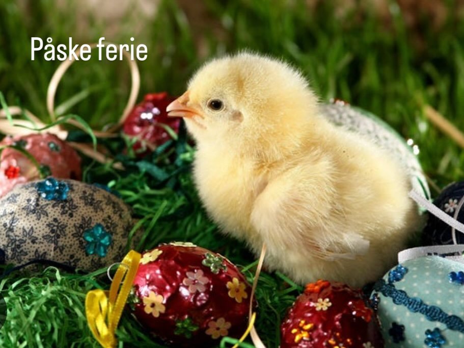 P&aring;ske ferie 14.4-22.4 

Dont forget to book your appointments 🐰