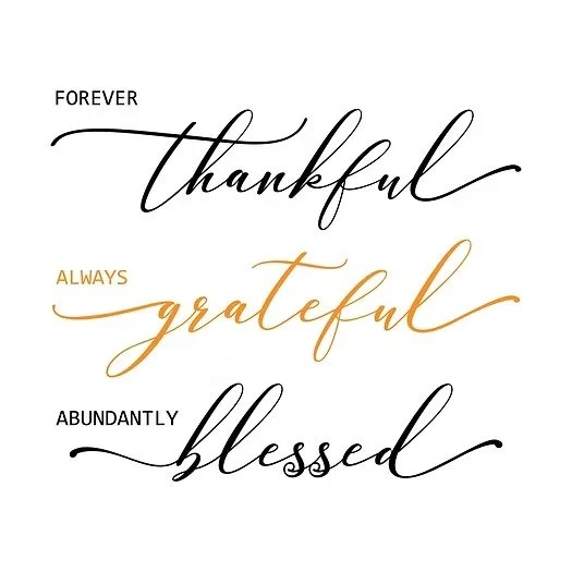 Embracing Thanksgiving with a Daily Gratitude Practice 🍂