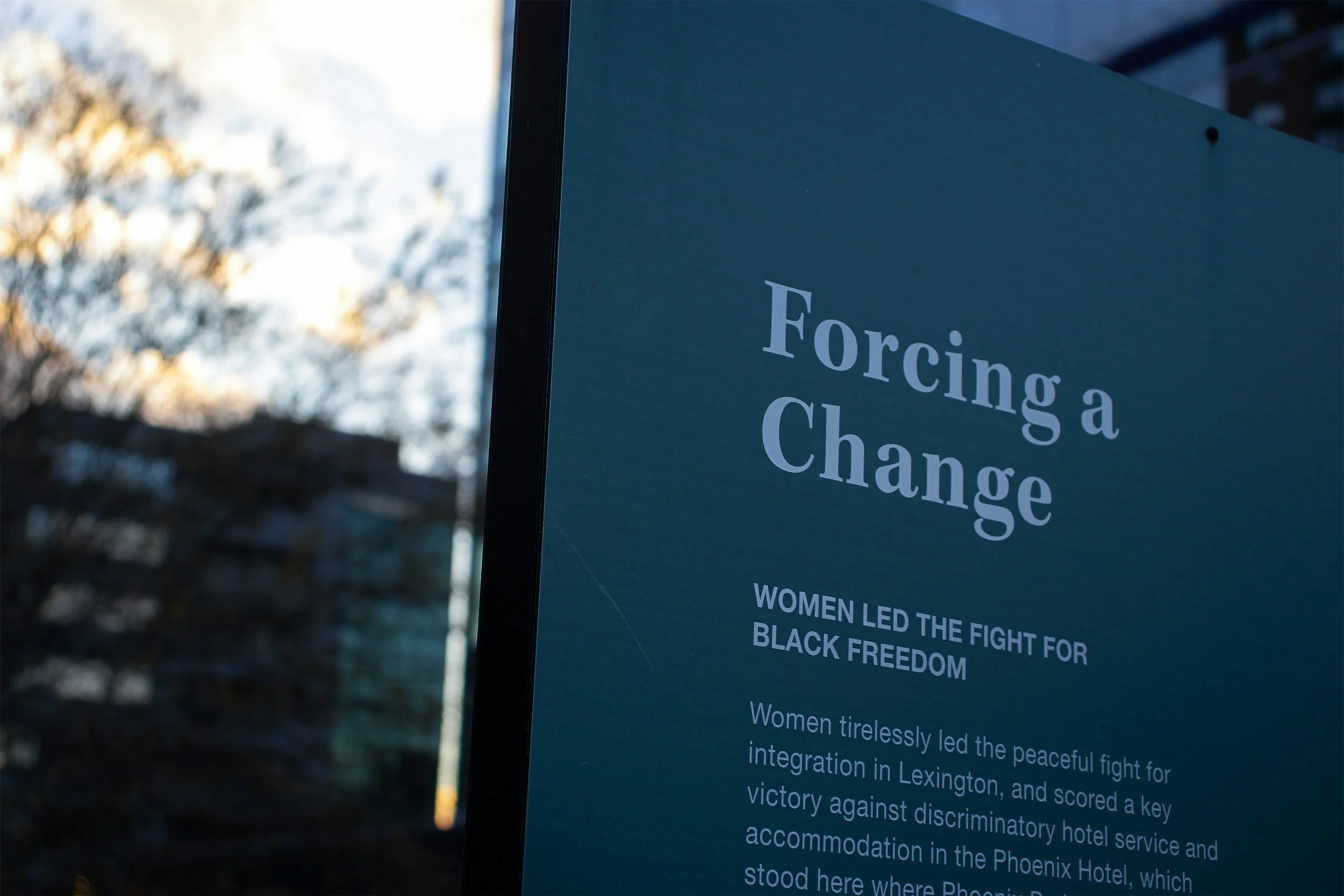 Close-up of a sign that says 'Forcing a Change' with smaller text underneath about women leading the fight for black freedom, outdoors with blurred trees in the background.