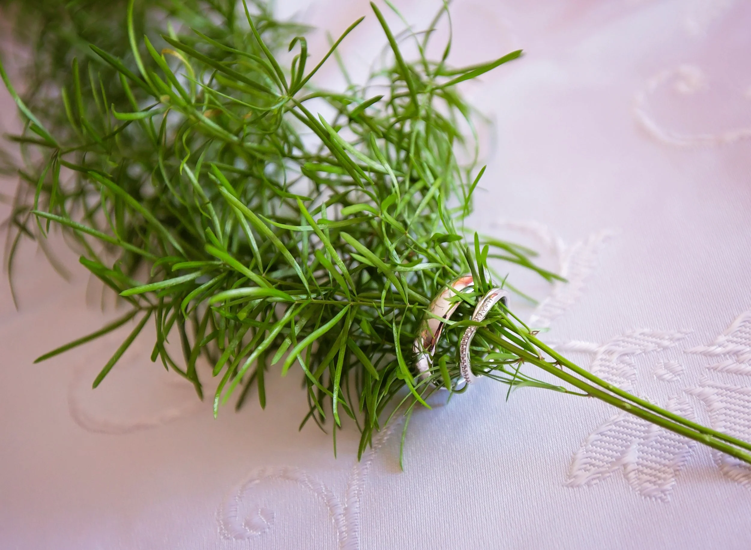 aniaslittleworld_mc_wedding_DesPlaines (12).jpg