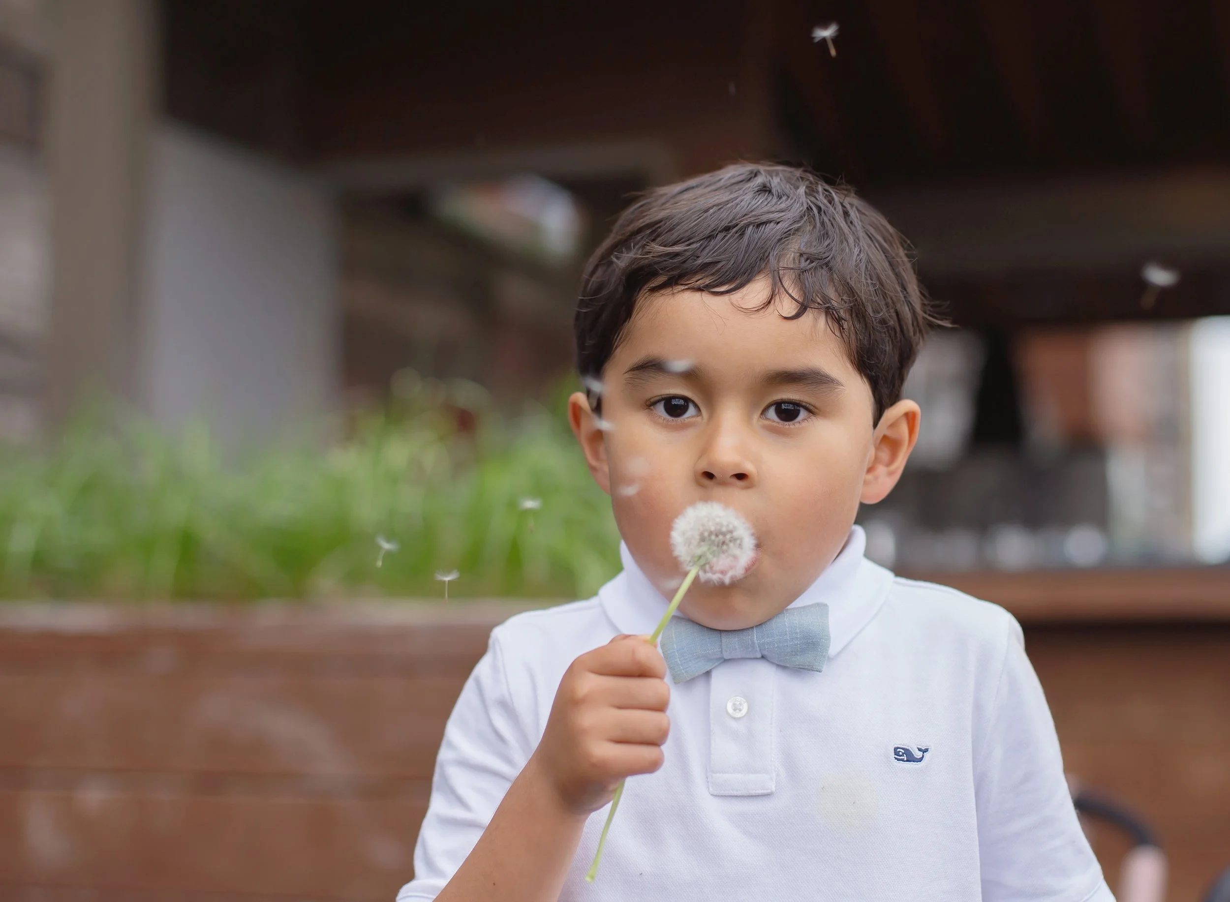 portrait of a boy blowing a dandelion