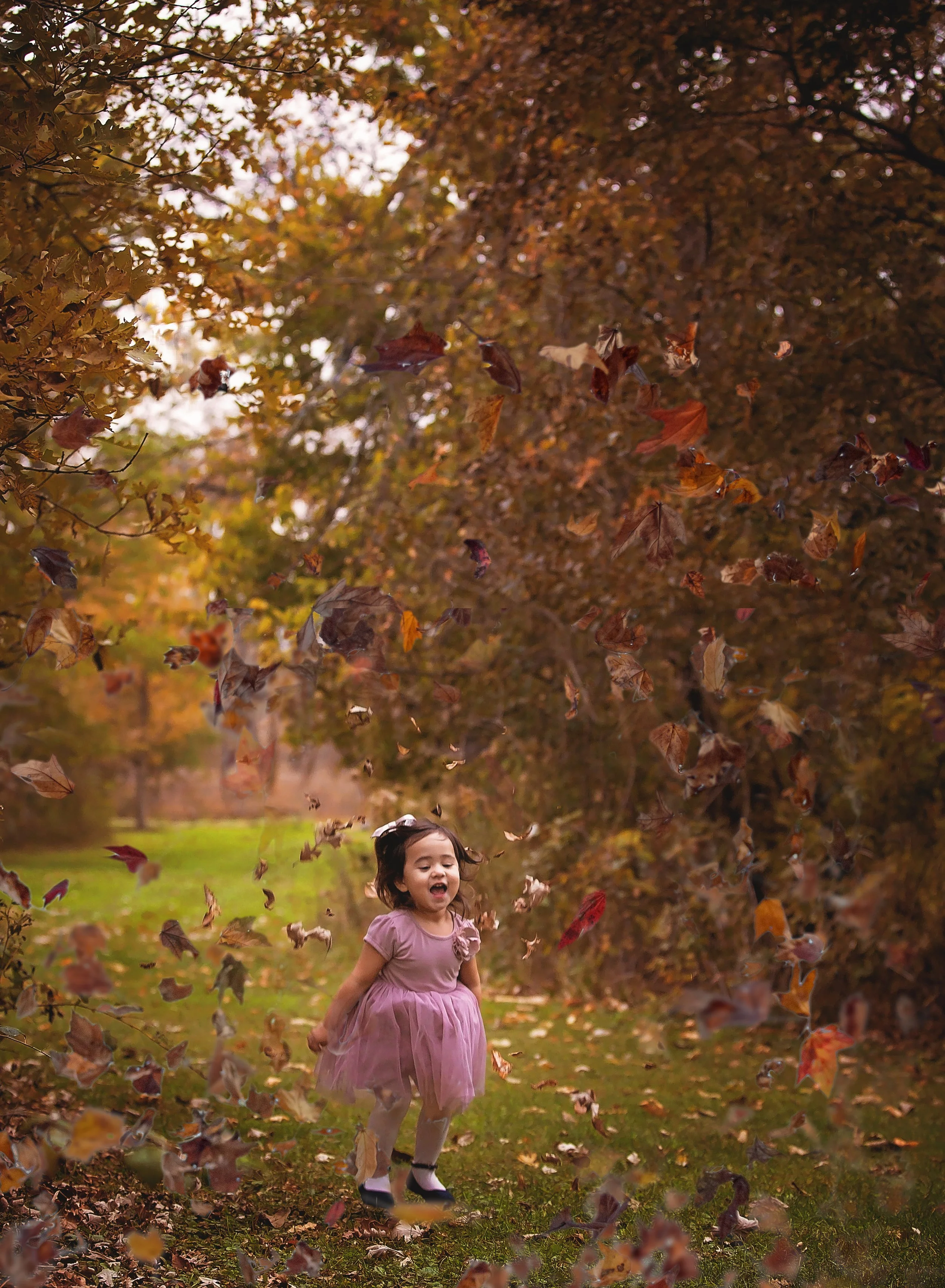 Fall Session-8337.jpg