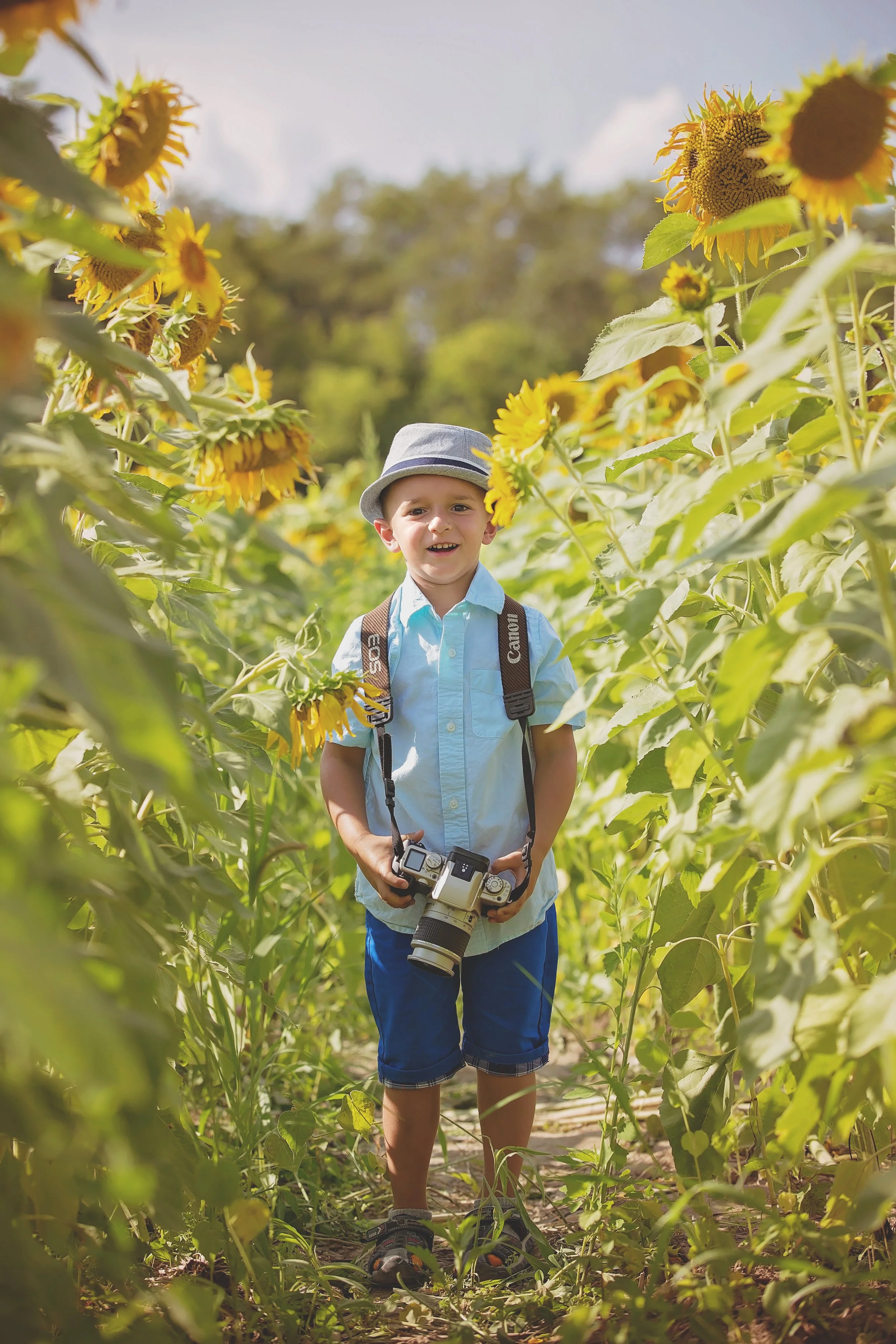 Sunflower Field-3279.jpg