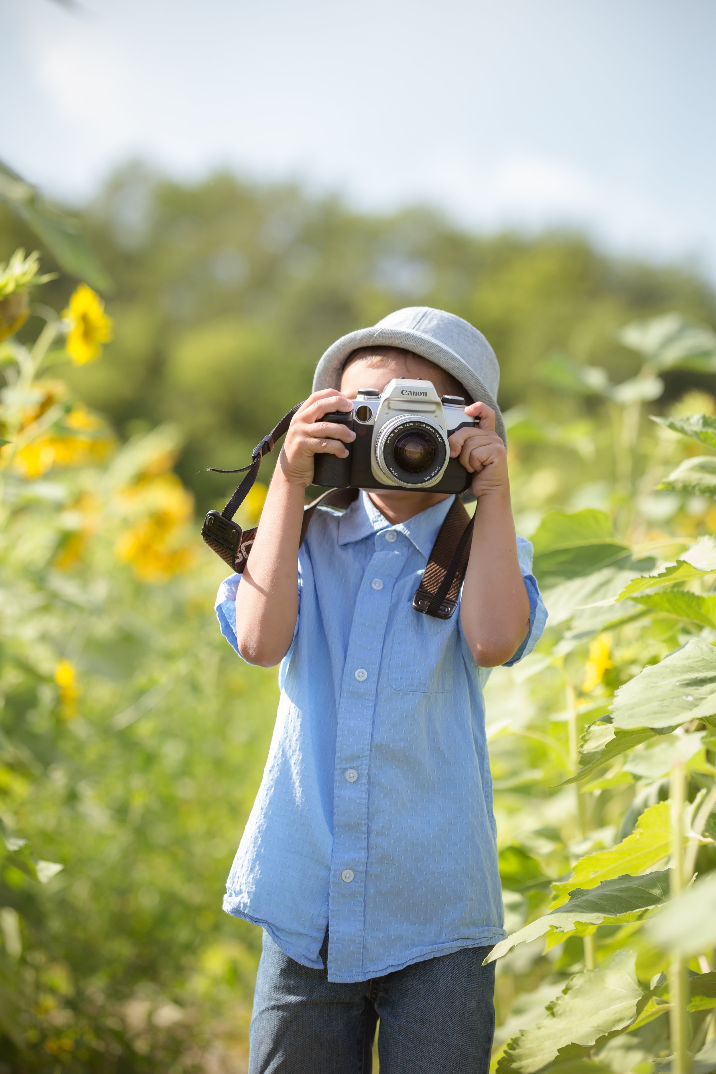 Sunflower Field-3272.jpg