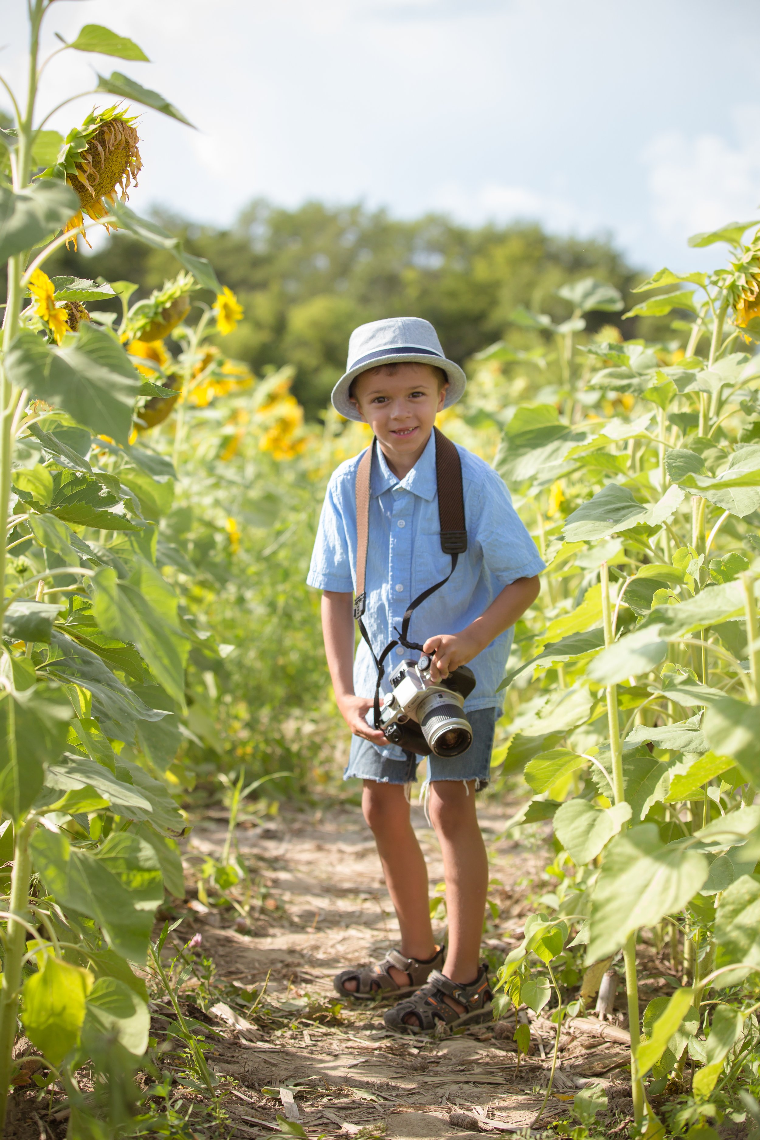 Sunflower Field-3269.jpg