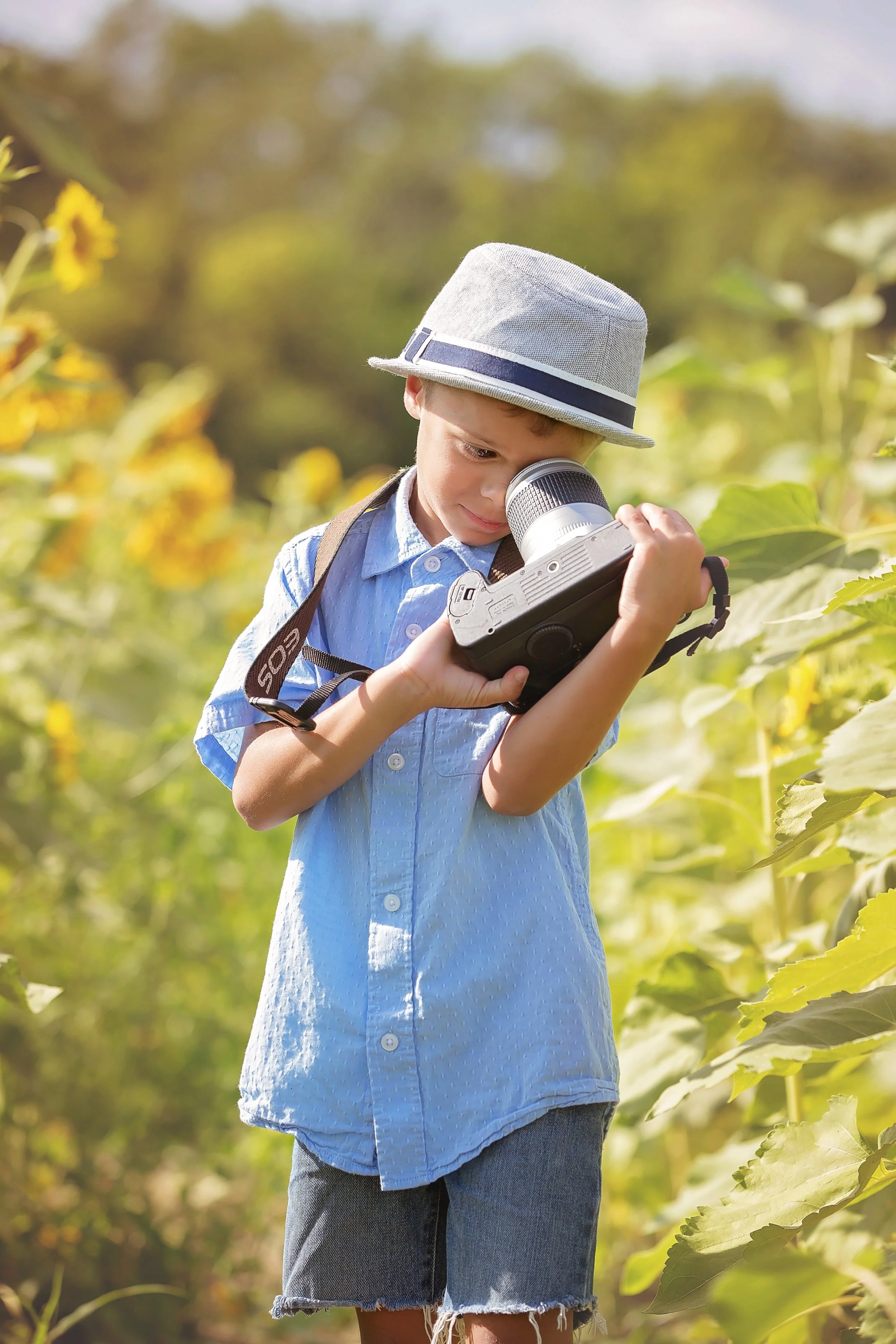 Sunflower Field-3271.jpg