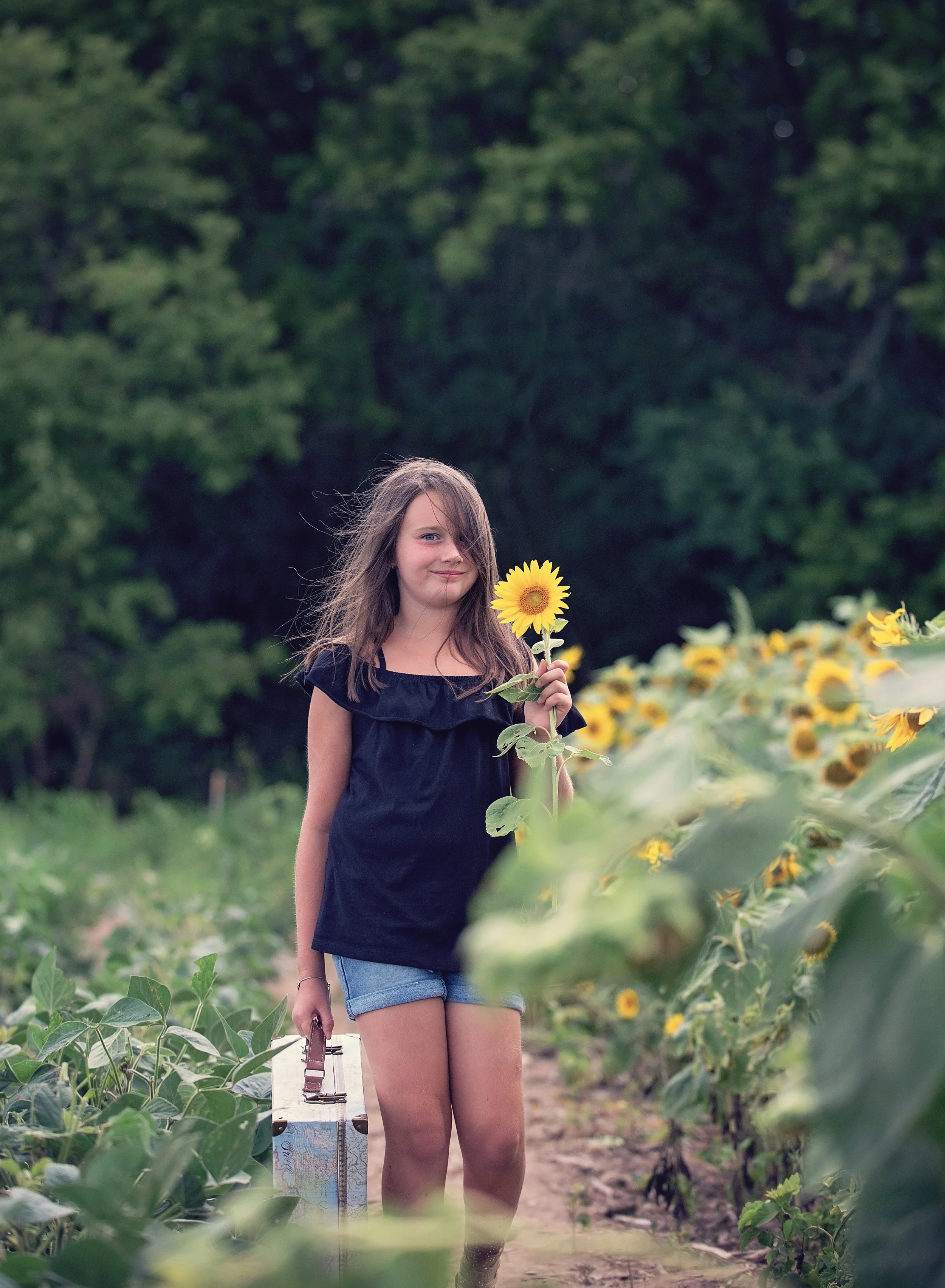 Sunflower FieldEmi-33761.jpg