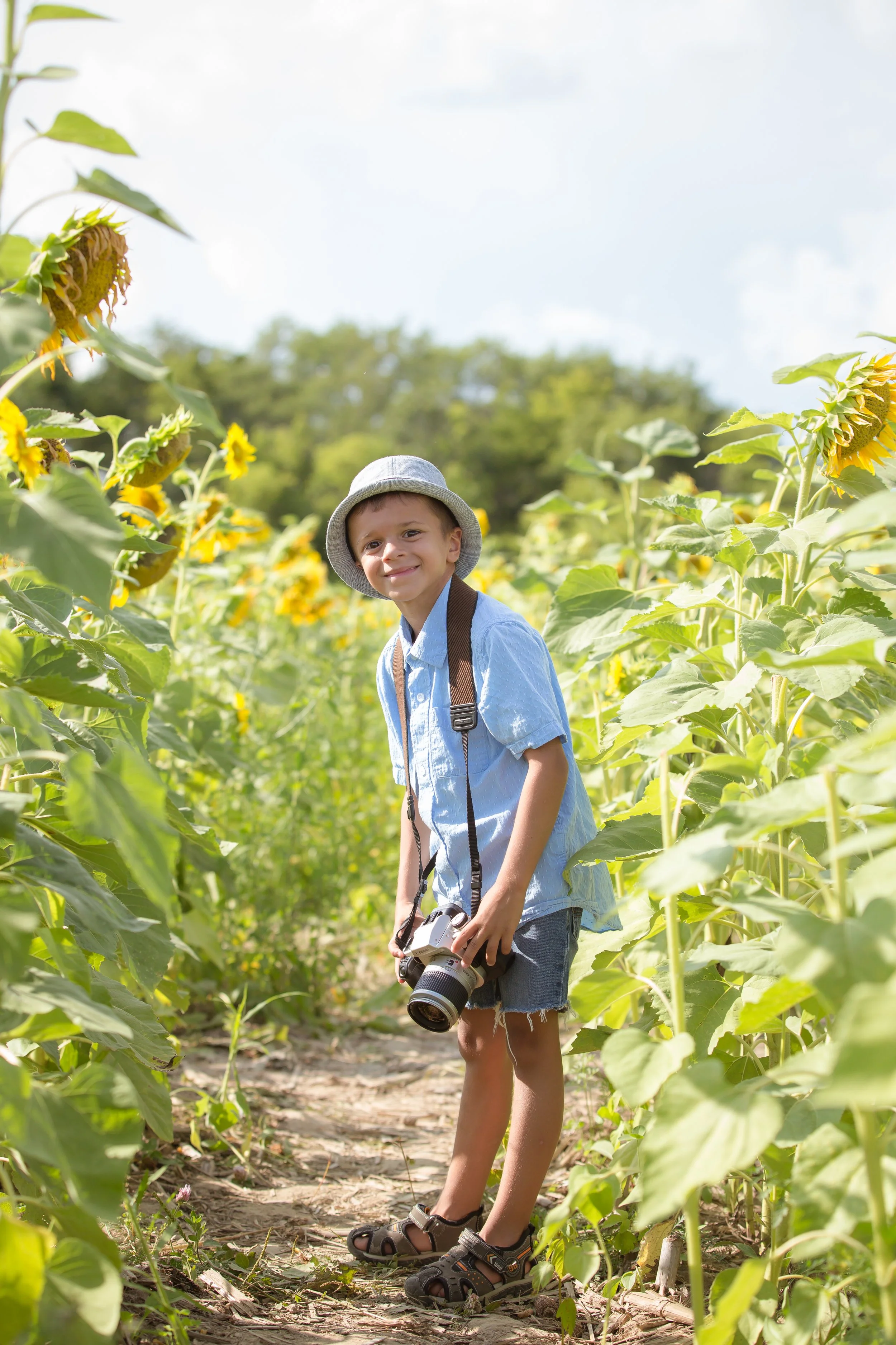 Sunflower Field-3268.jpg