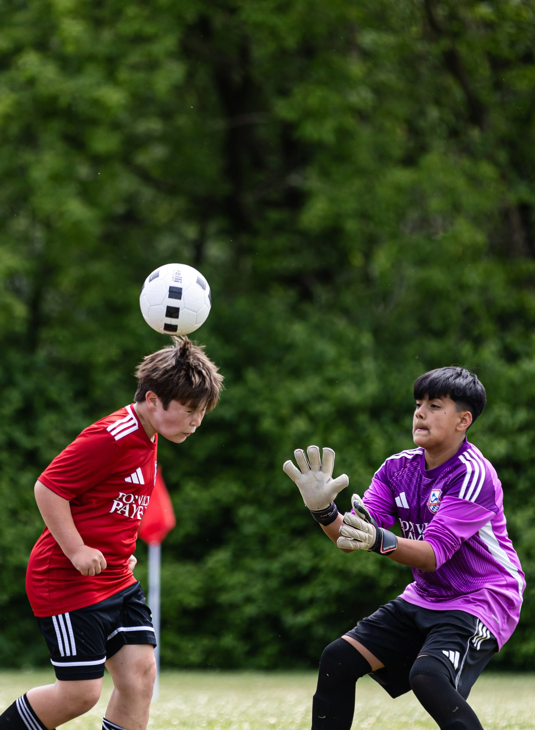 2026-04-18_FVB 2014 Olympics vs CrossFireSC-7747.jpg