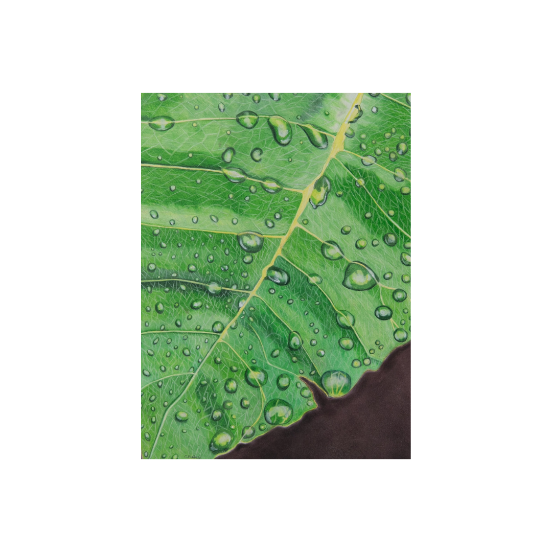 Untitled design-18.png